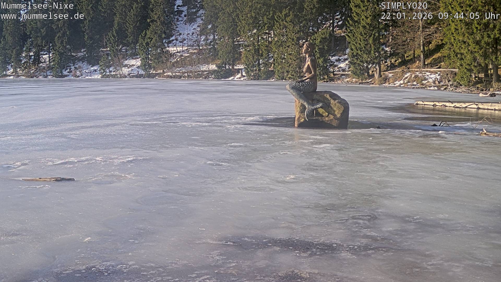 Archived image Webcam Lake Mummelsee - Black Forest