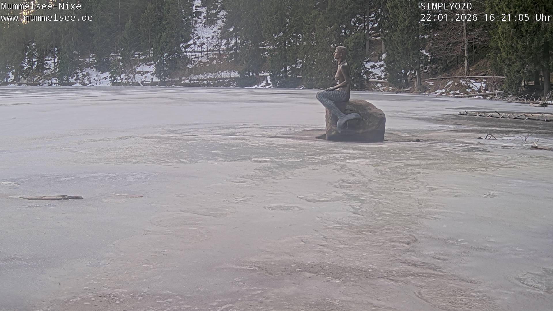 Archived image Webcam Lake Mummelsee - Black Forest