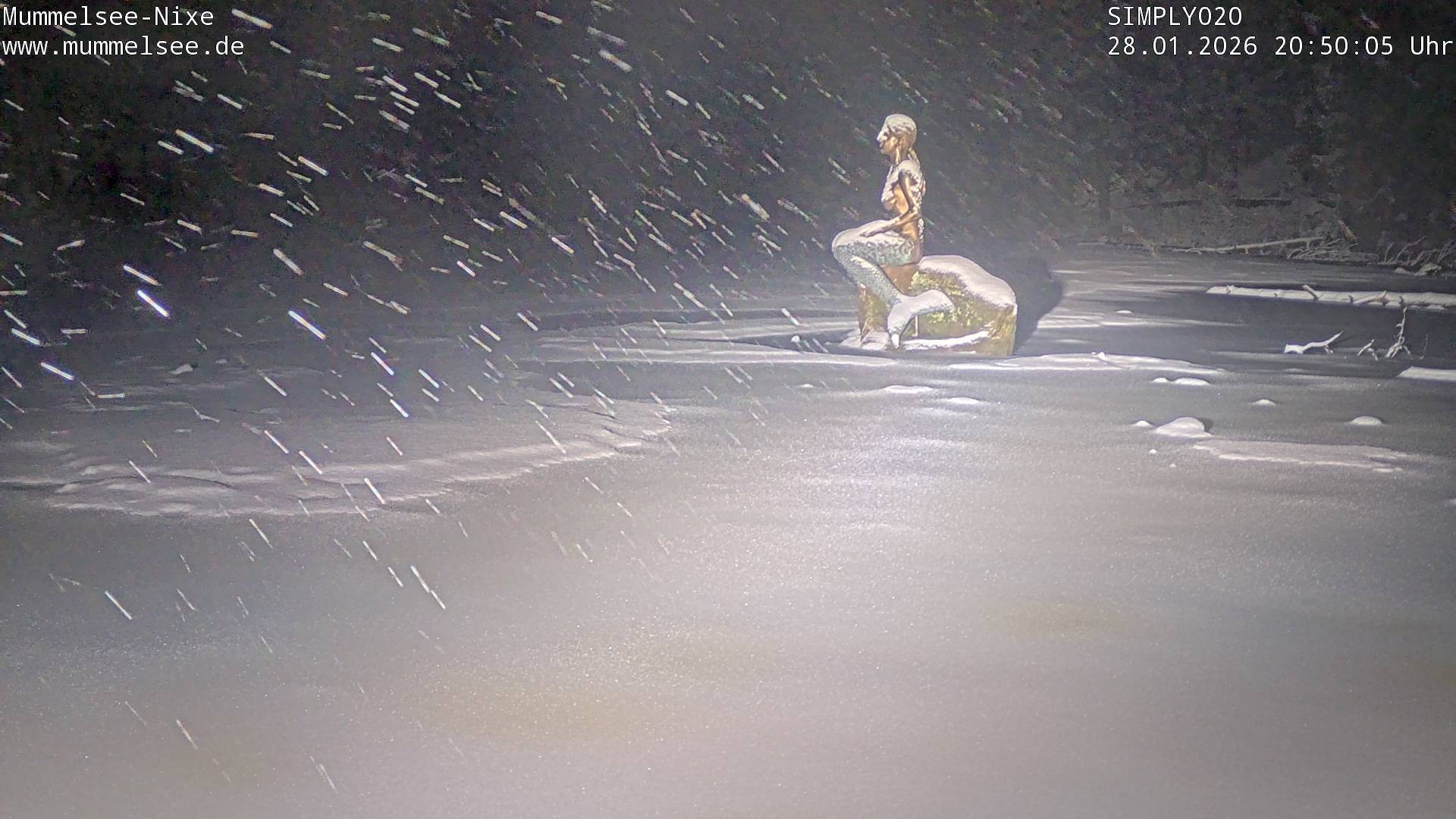 Archiv Foto Webcam Ufer Mummelsee