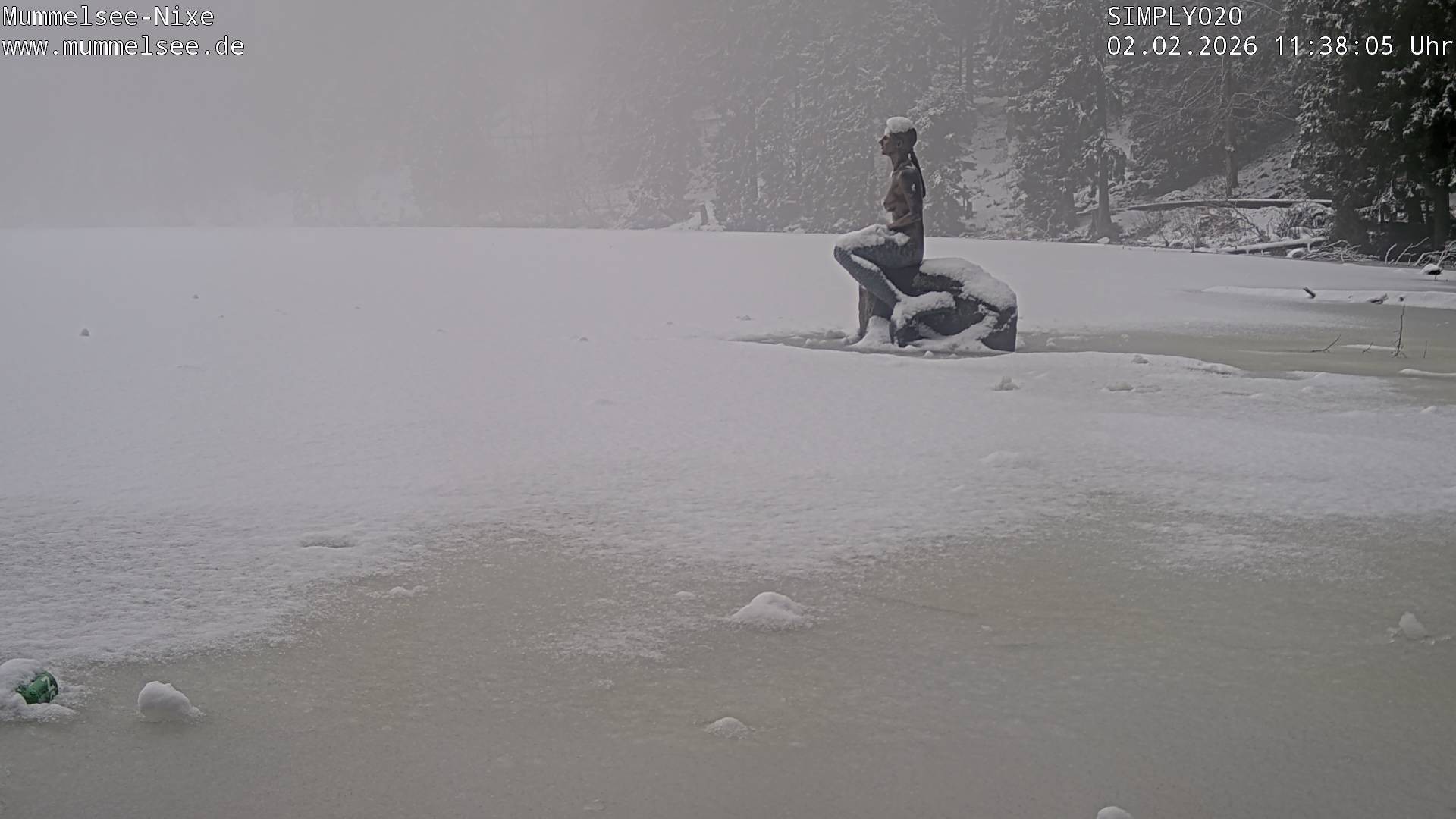 Archiv Foto Webcam Ufer Mummelsee