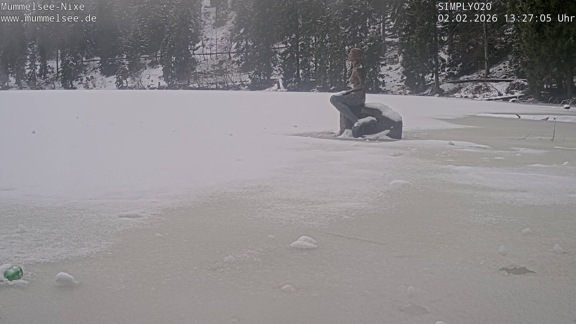 Archiv Foto Webcam Ufer Mummelsee