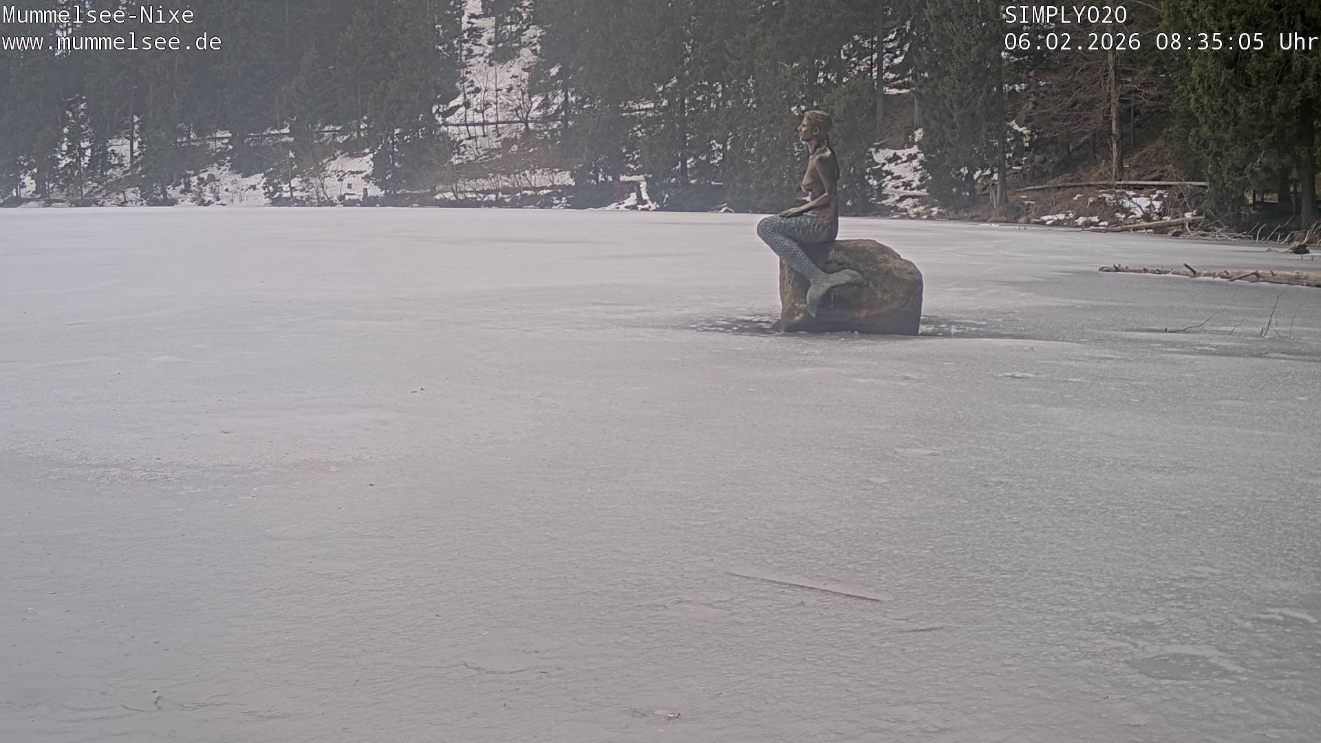 Archived image Webcam Lake Mummelsee - Black Forest