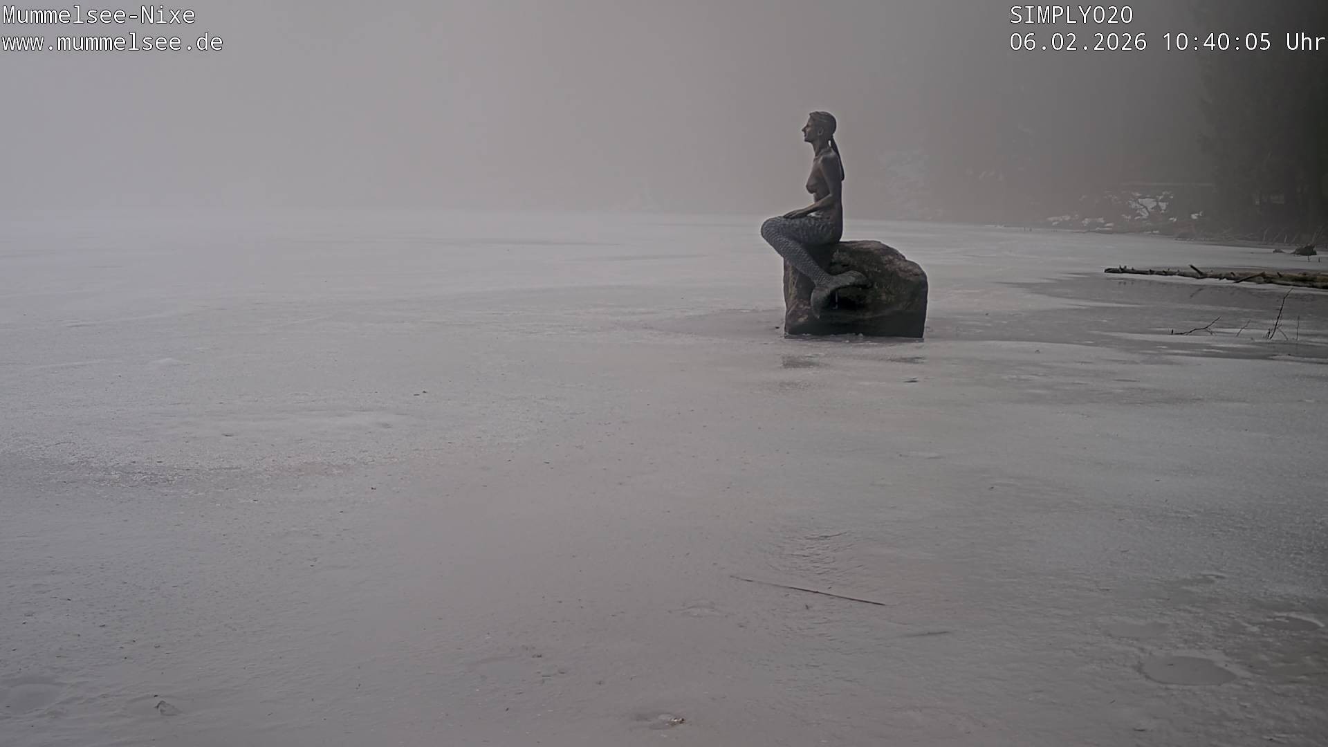 Archived image Webcam Lake Mummelsee - Black Forest