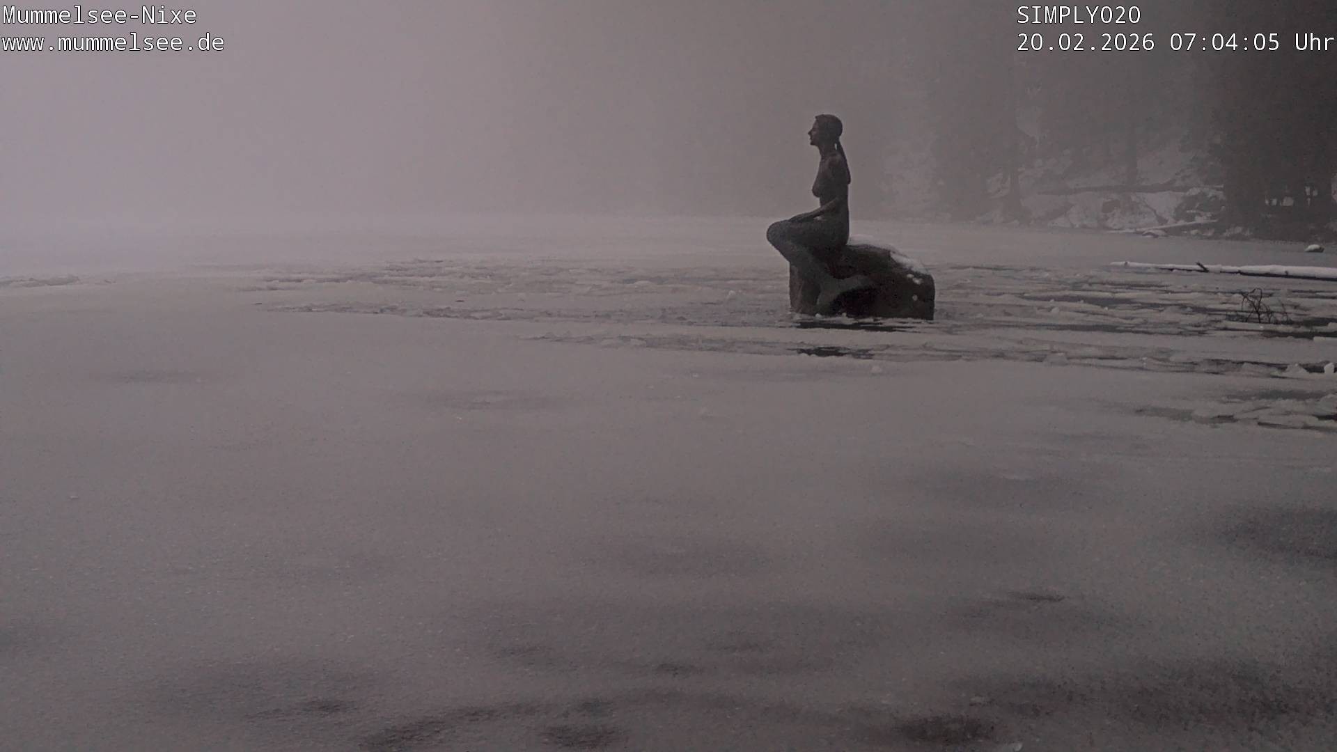 Archiv Foto Webcam Ufer Mummelsee