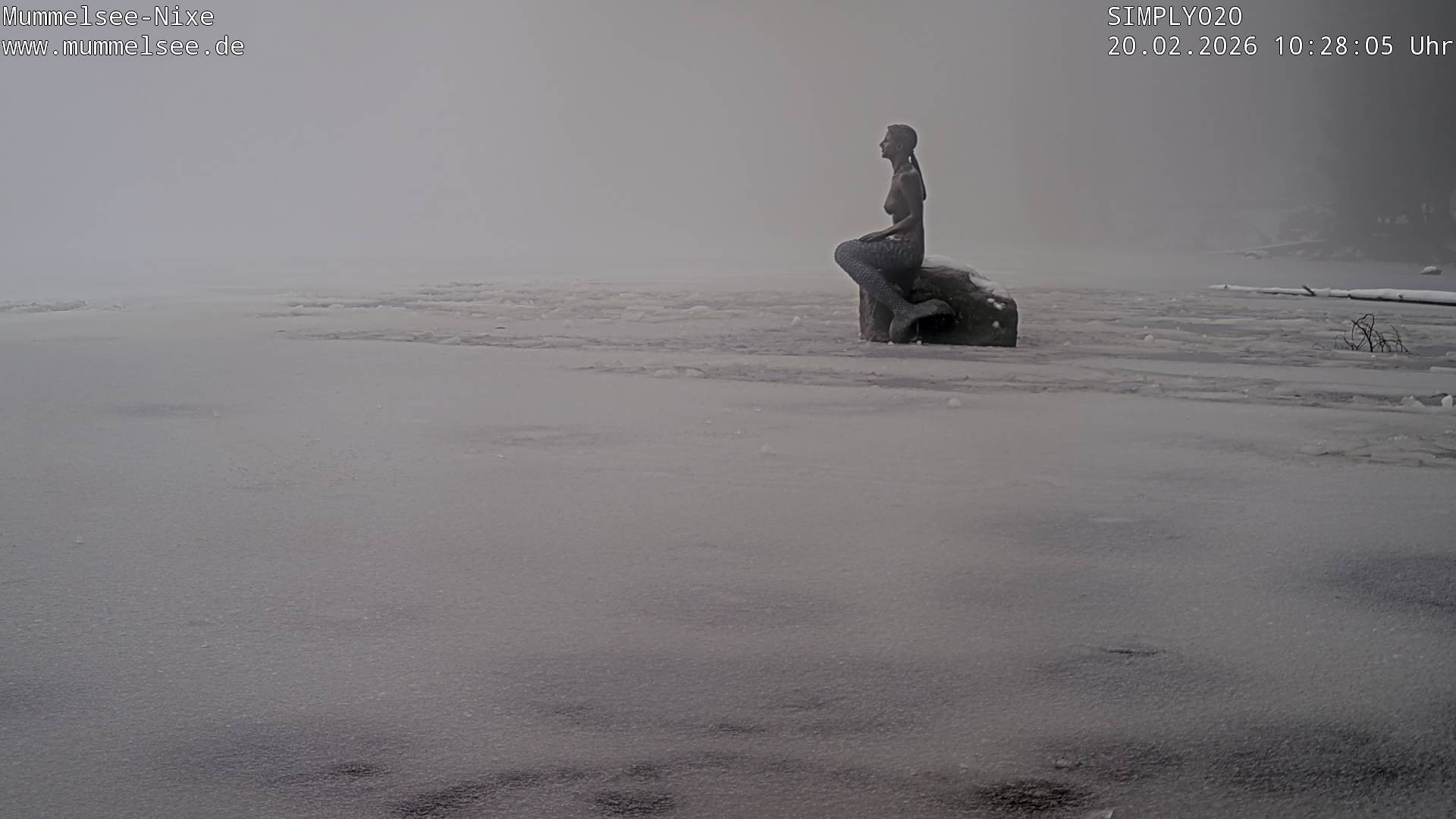 Archiv Foto Webcam Ufer Mummelsee