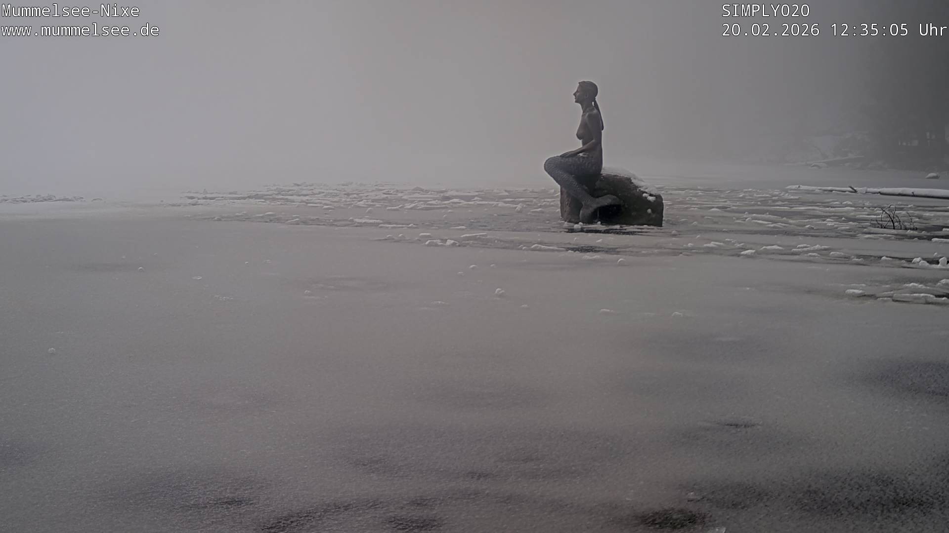 Archiv Foto Webcam Ufer Mummelsee