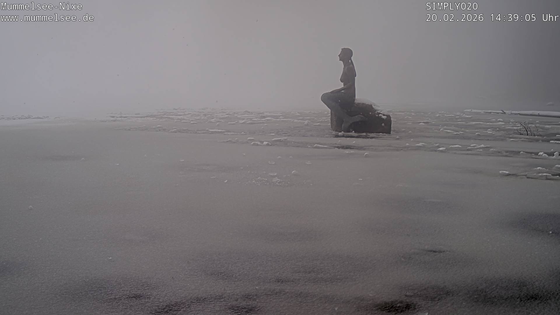 Archiv Foto Webcam Ufer Mummelsee