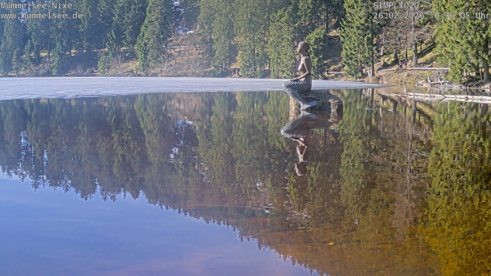 Archiv Foto Webcam Ufer Mummelsee