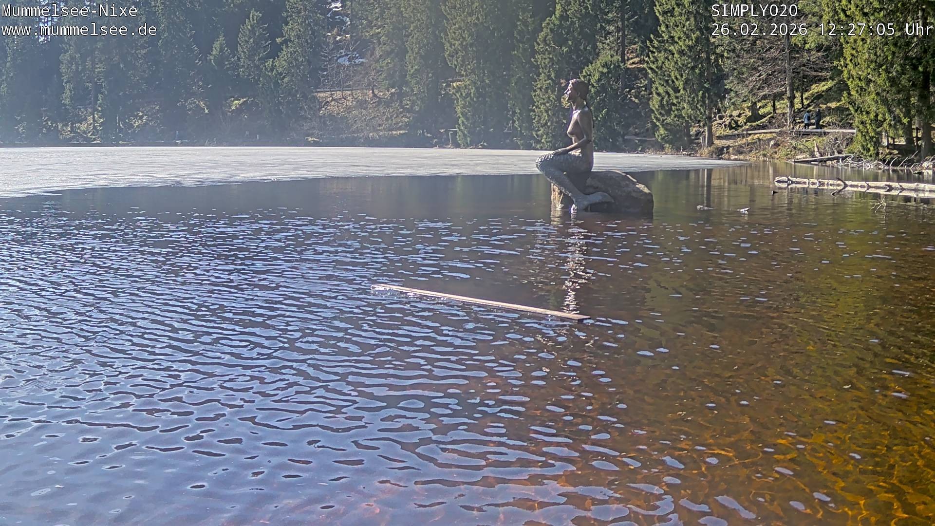 Archiv Foto Webcam Ufer Mummelsee