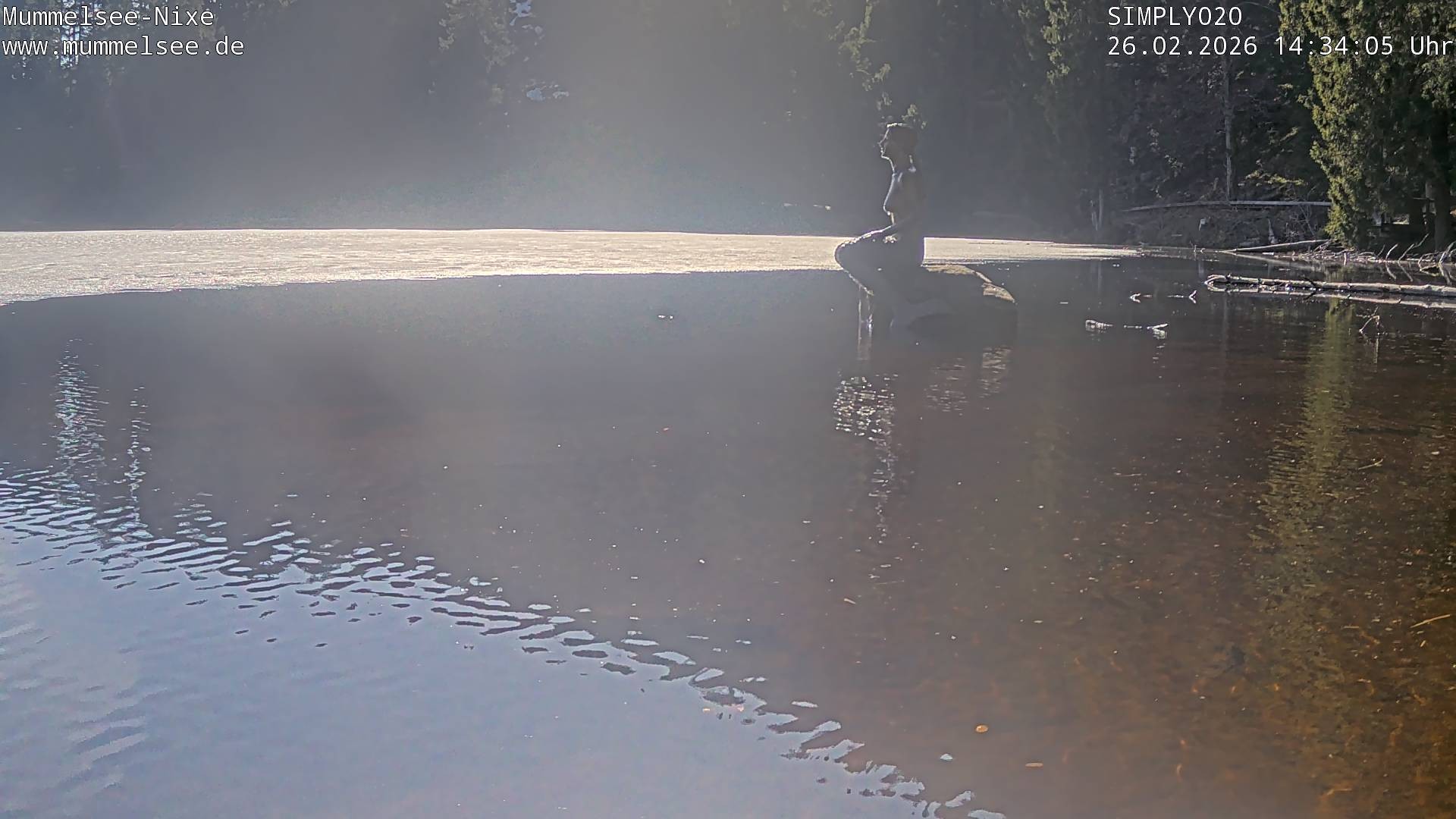 Archiv Foto Webcam Ufer Mummelsee