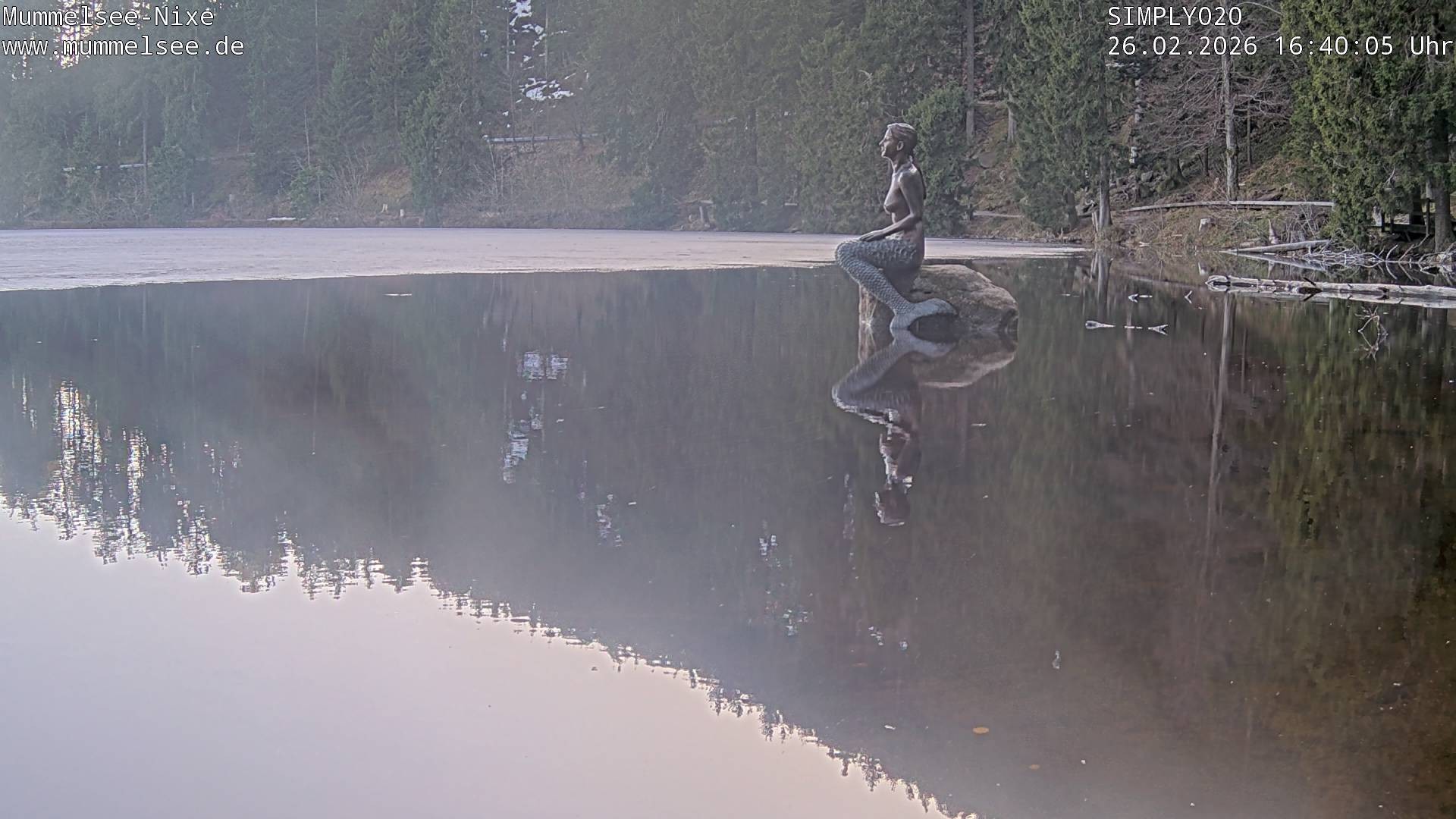 Archiv Foto Webcam Ufer Mummelsee