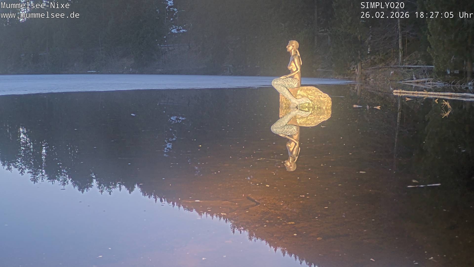 Archiv Foto Webcam Ufer Mummelsee