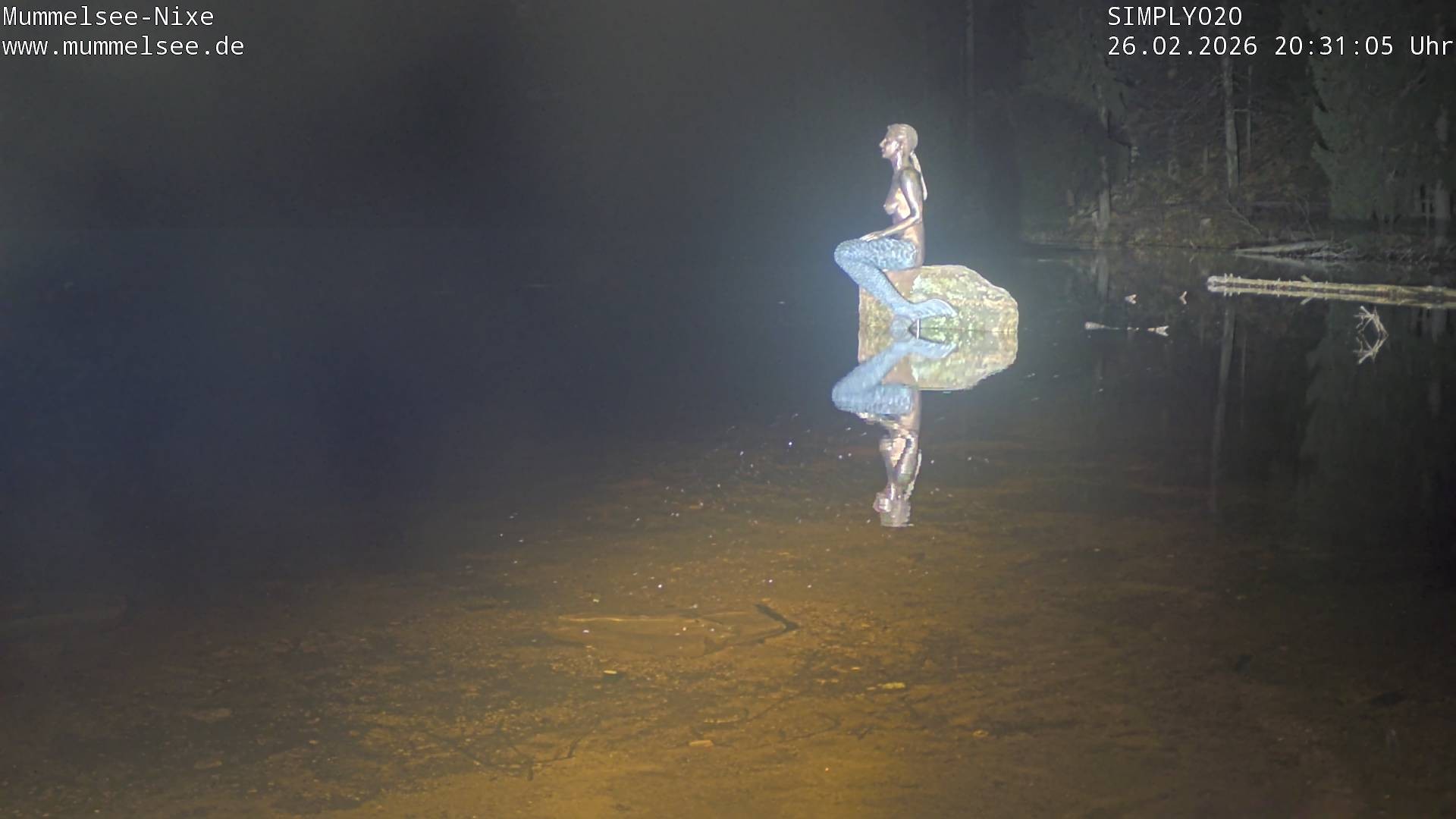 Archived image Webcam Lake Mummelsee - Black Forest