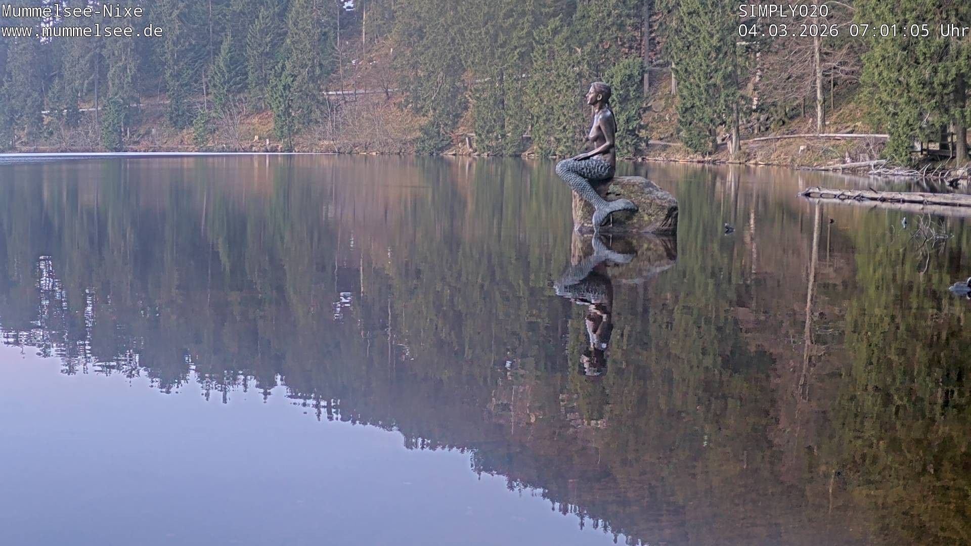 Archived image Webcam Lake Mummelsee - Black Forest