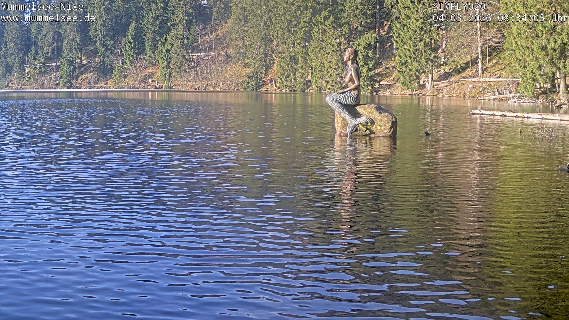 Archived image Webcam Lake Mummelsee - Black Forest