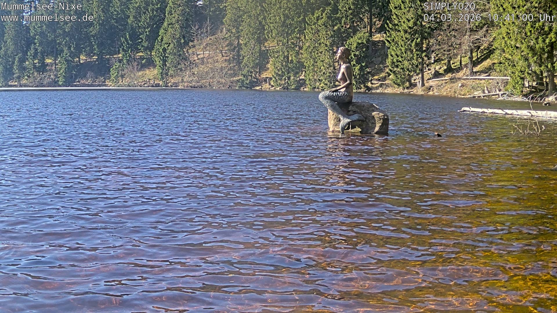 Archived image Webcam Lake Mummelsee - Black Forest