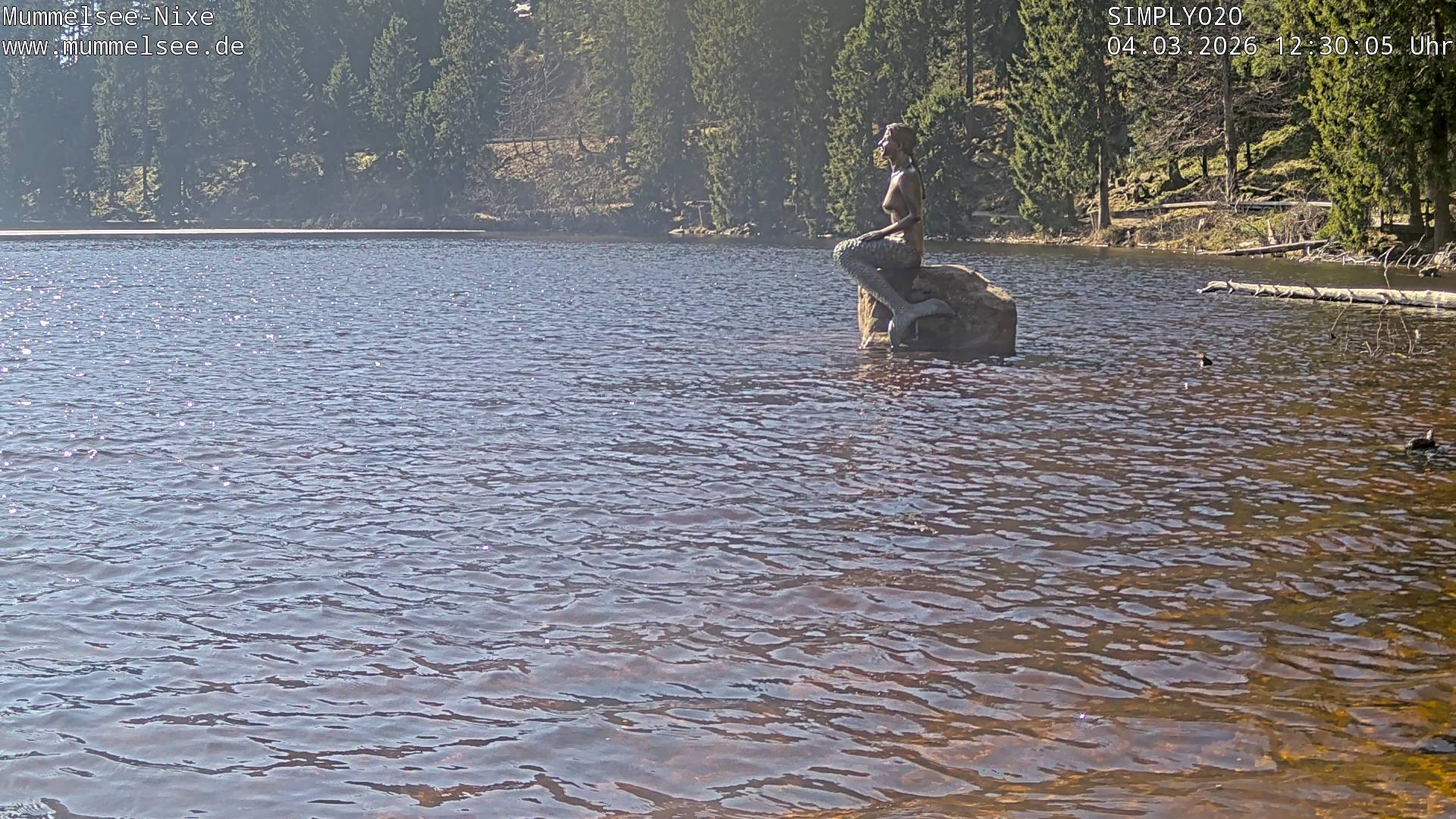 Archived image Webcam Lake Mummelsee - Black Forest