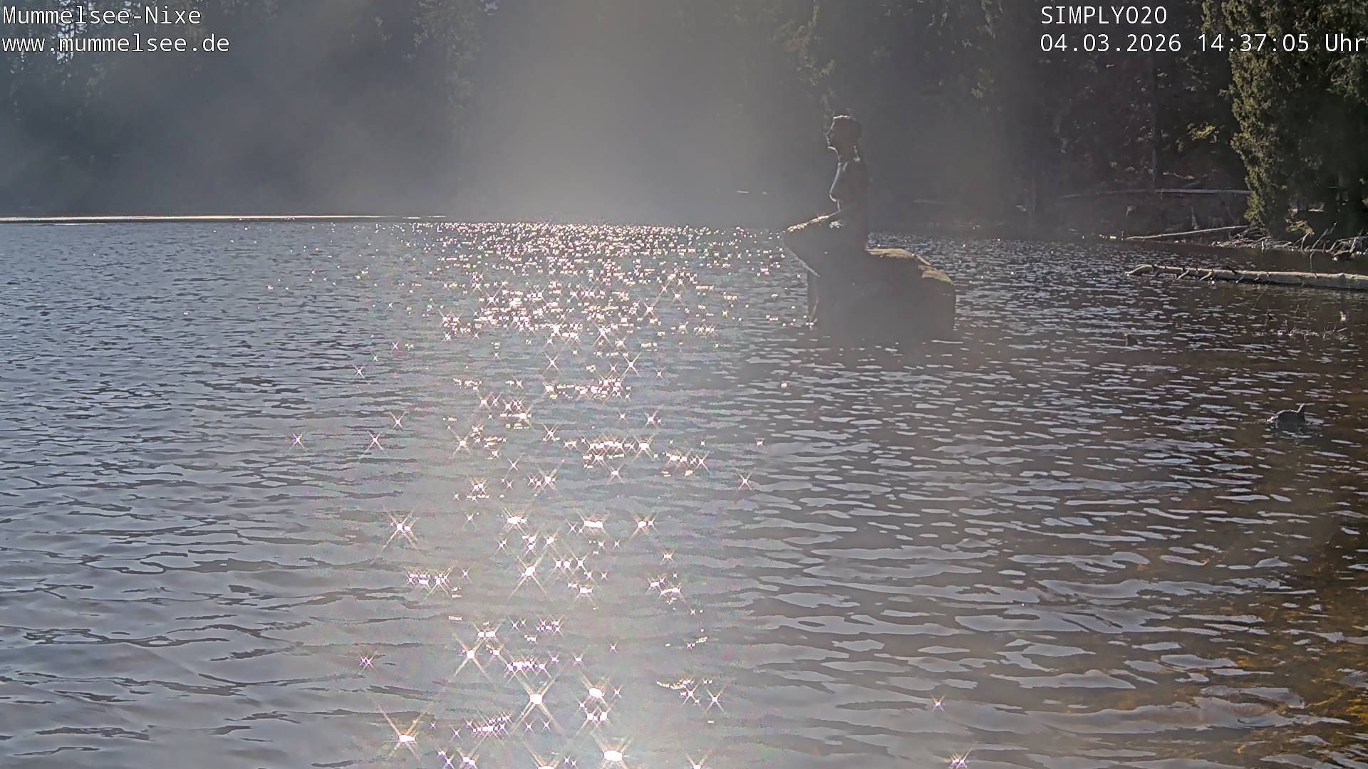 Archived image Webcam Lake Mummelsee - Black Forest