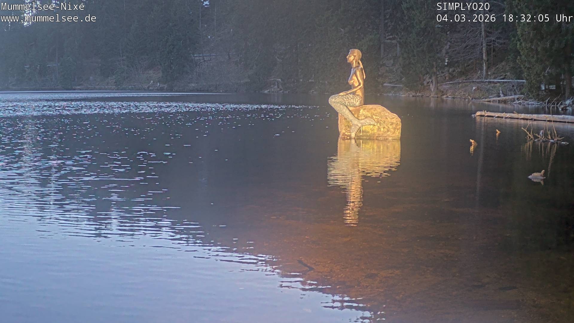 Archived image Webcam Lake Mummelsee - Black Forest