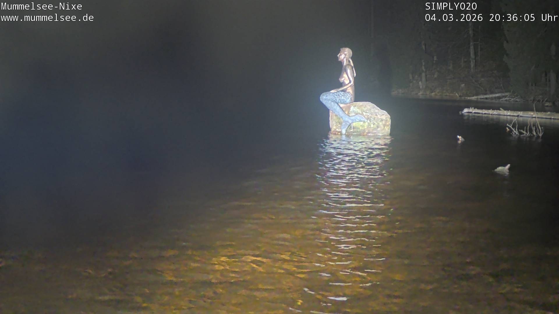 Archived image Webcam Lake Mummelsee - Black Forest