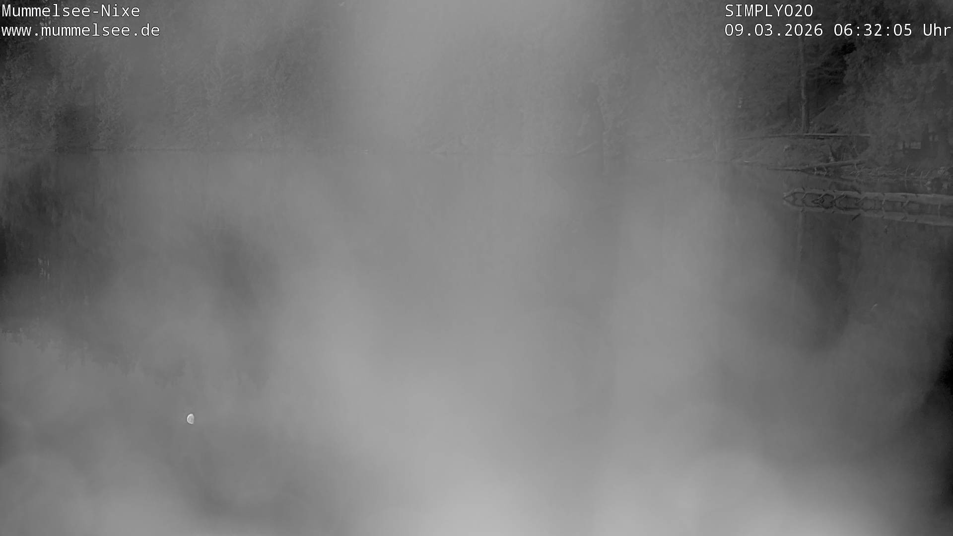 Archiv Foto Webcam Ufer Mummelsee