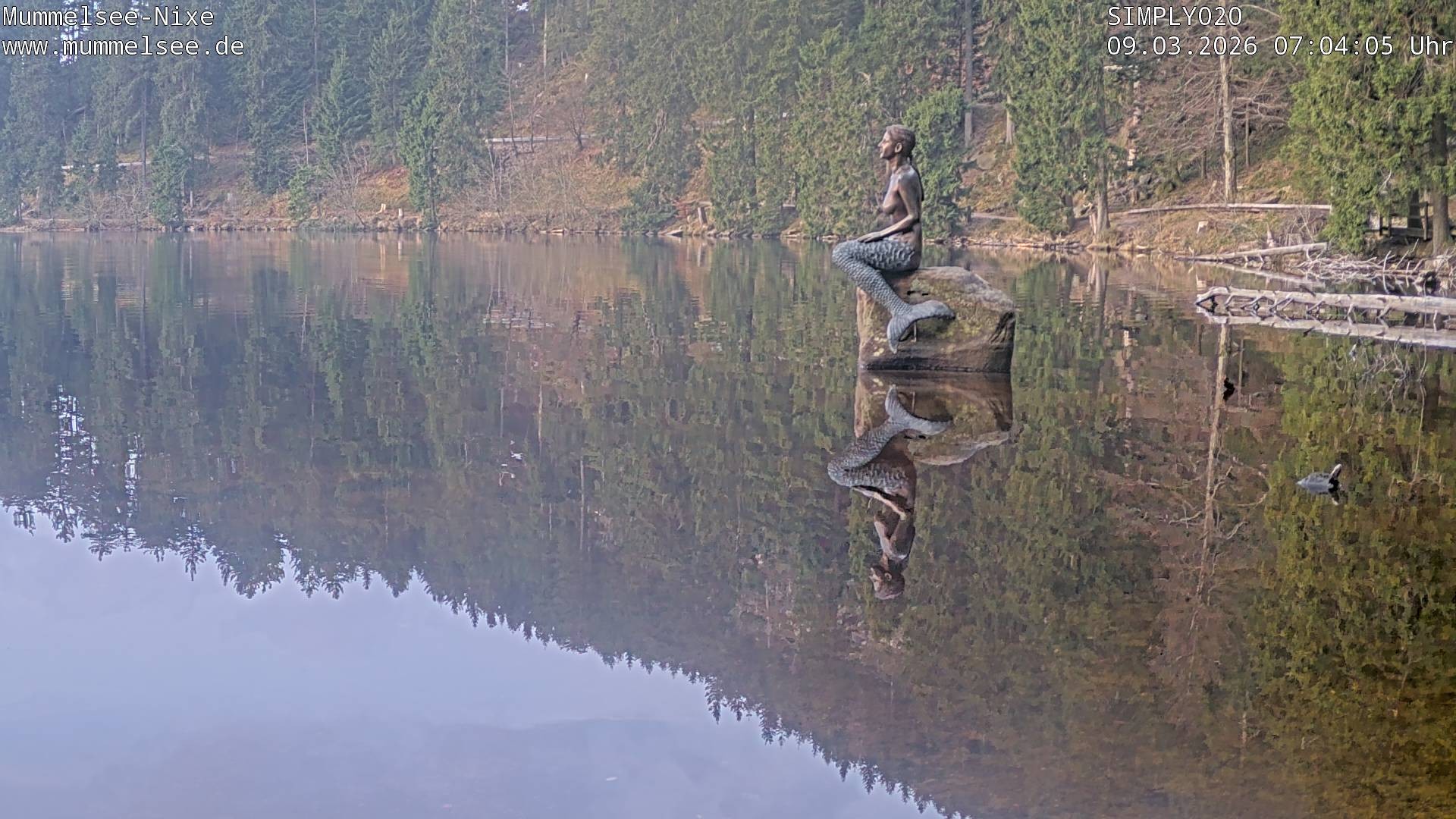 Archiv Foto Webcam Ufer Mummelsee