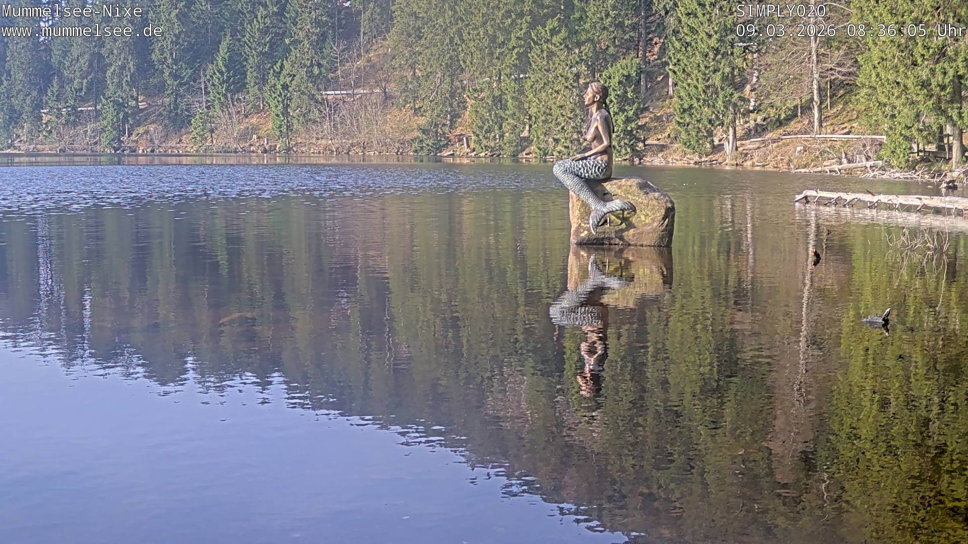 Archiv Foto Webcam Ufer Mummelsee