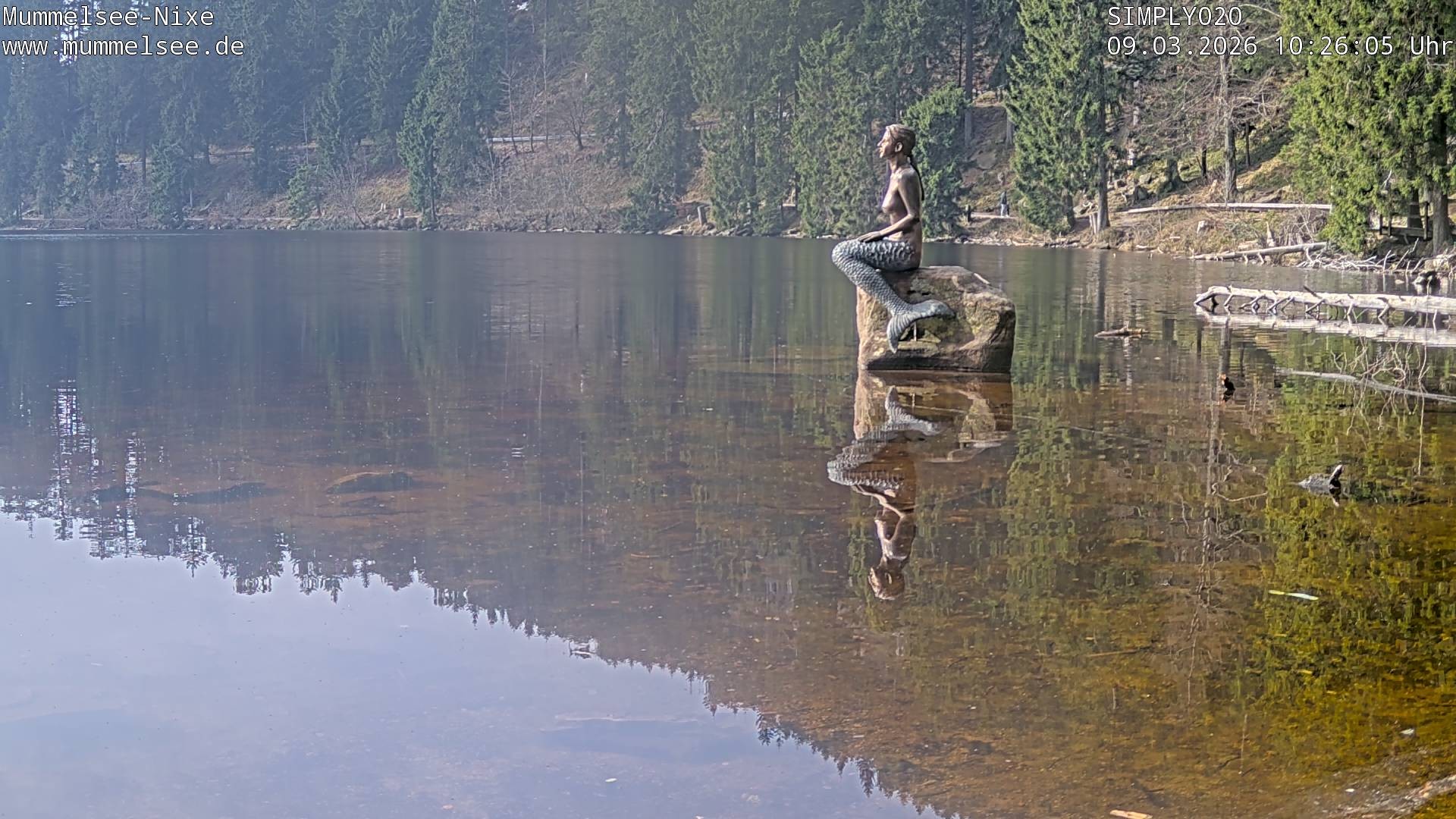 Archiv Foto Webcam Ufer Mummelsee