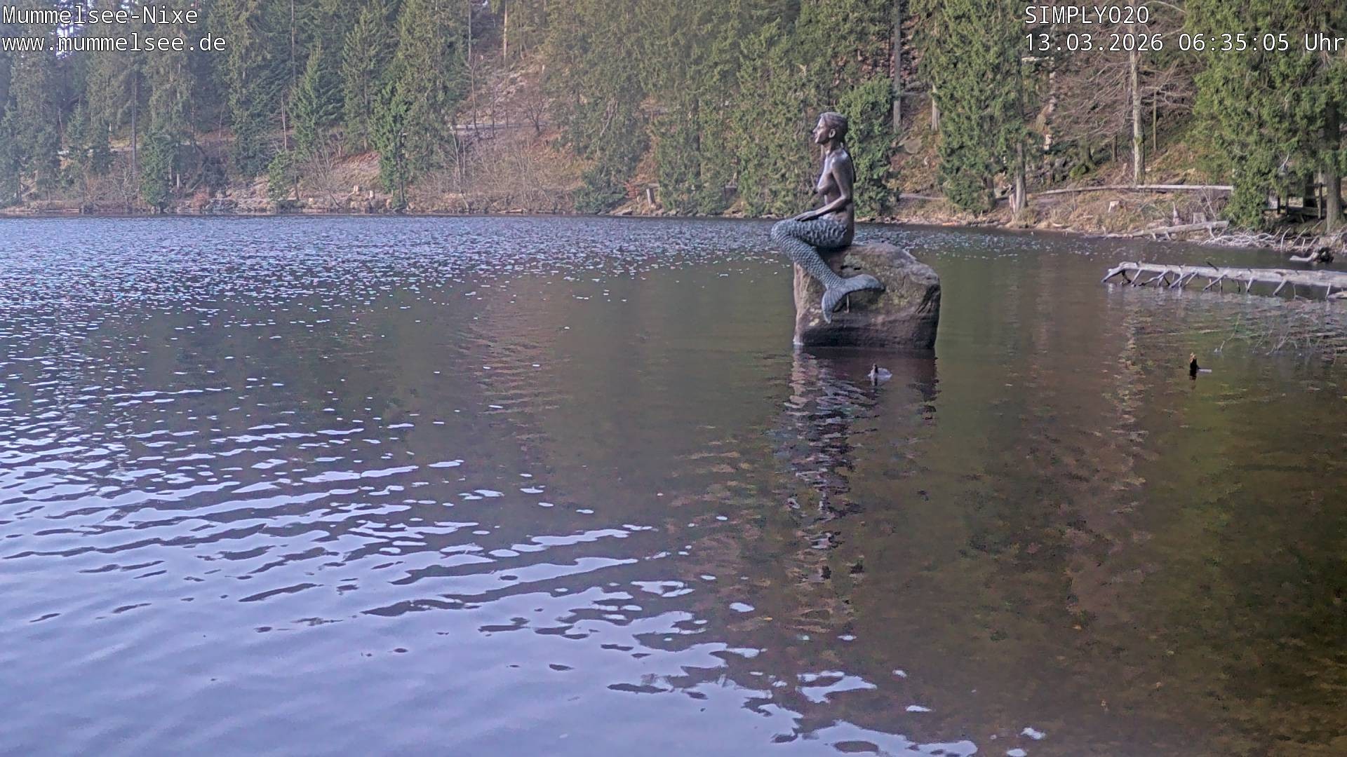 Archiv Foto Webcam Ufer Mummelsee