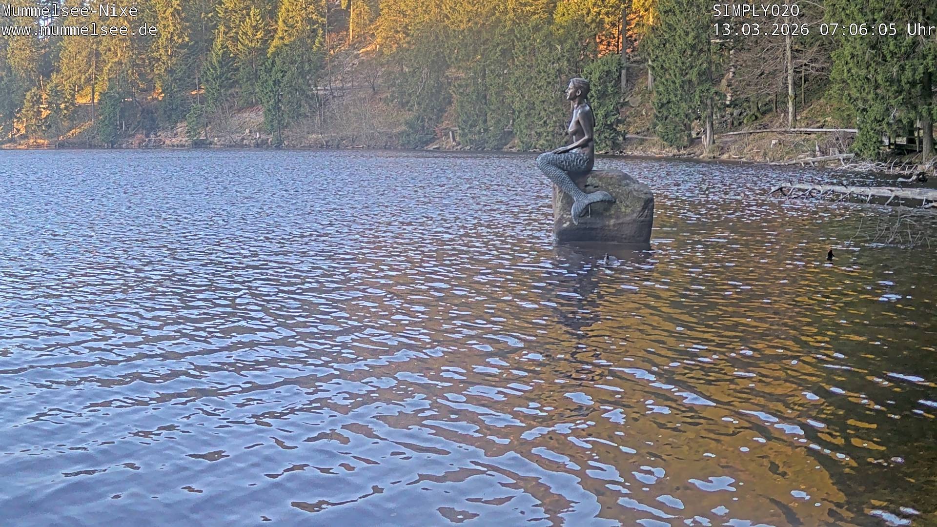 Archiv Foto Webcam Ufer Mummelsee