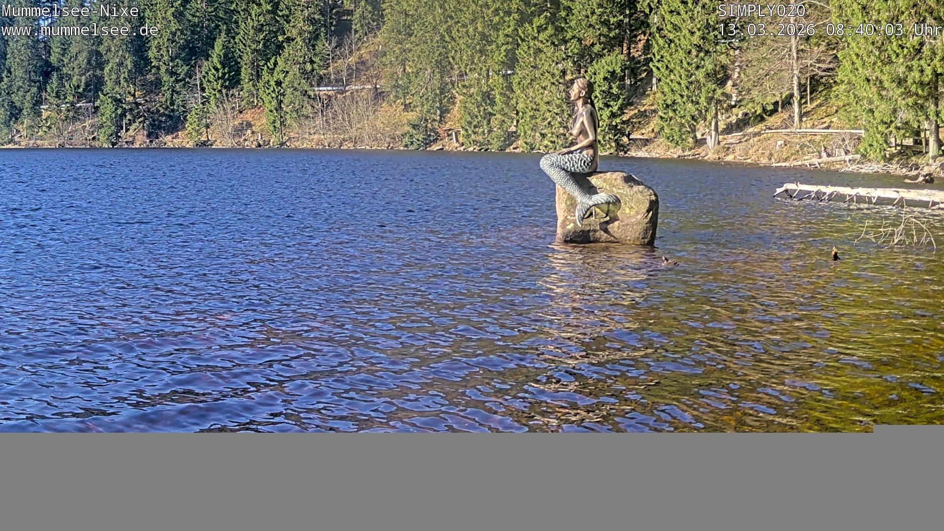 Archiv Foto Webcam Ufer Mummelsee