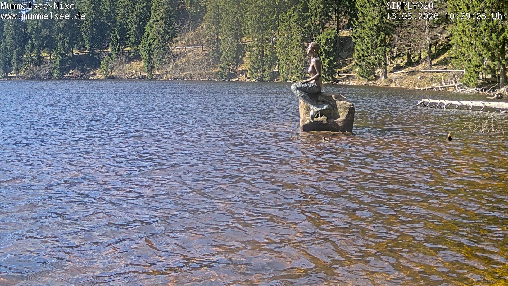 Archiv Foto Webcam Ufer Mummelsee