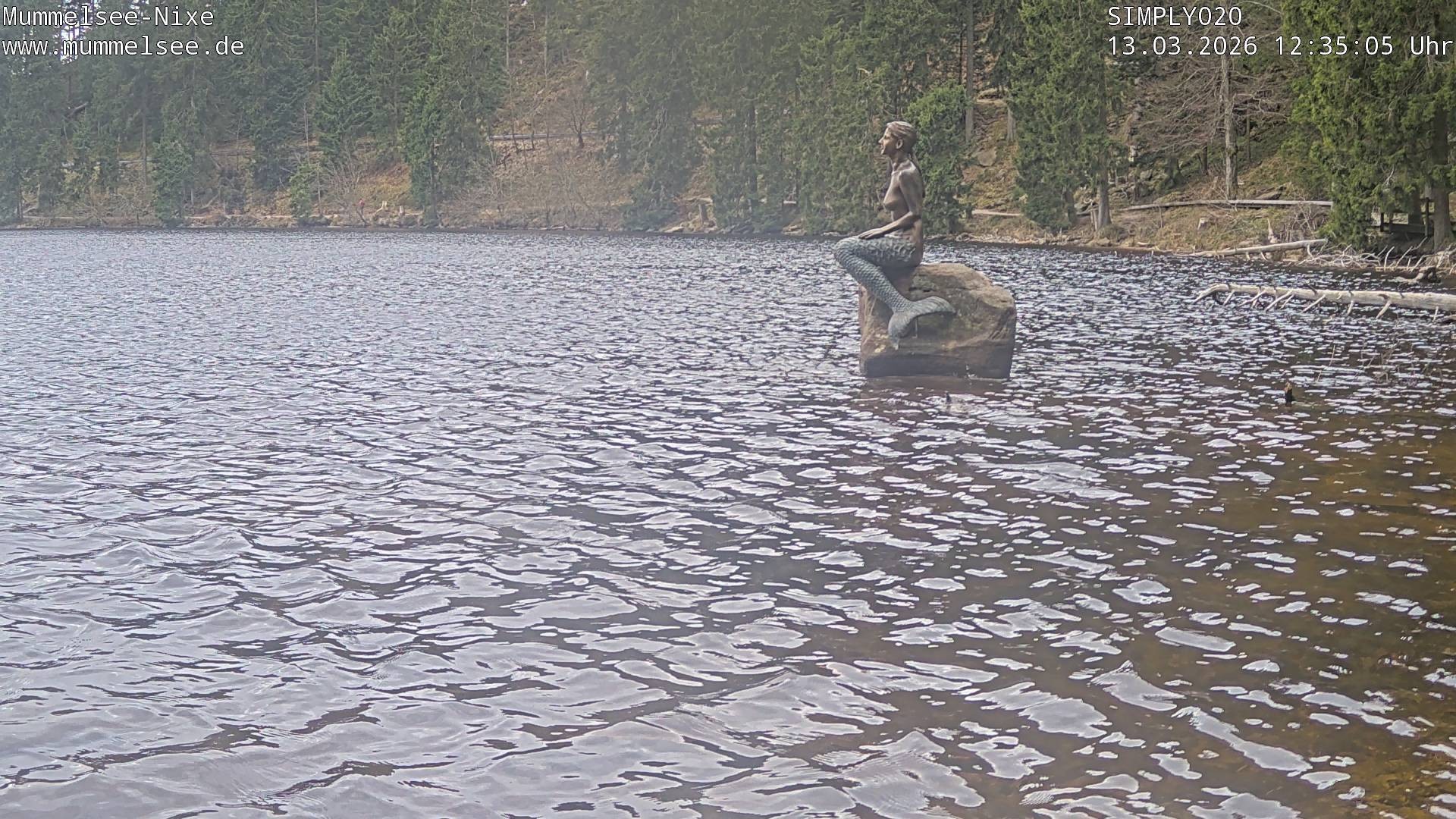 Archiv Foto Webcam Ufer Mummelsee