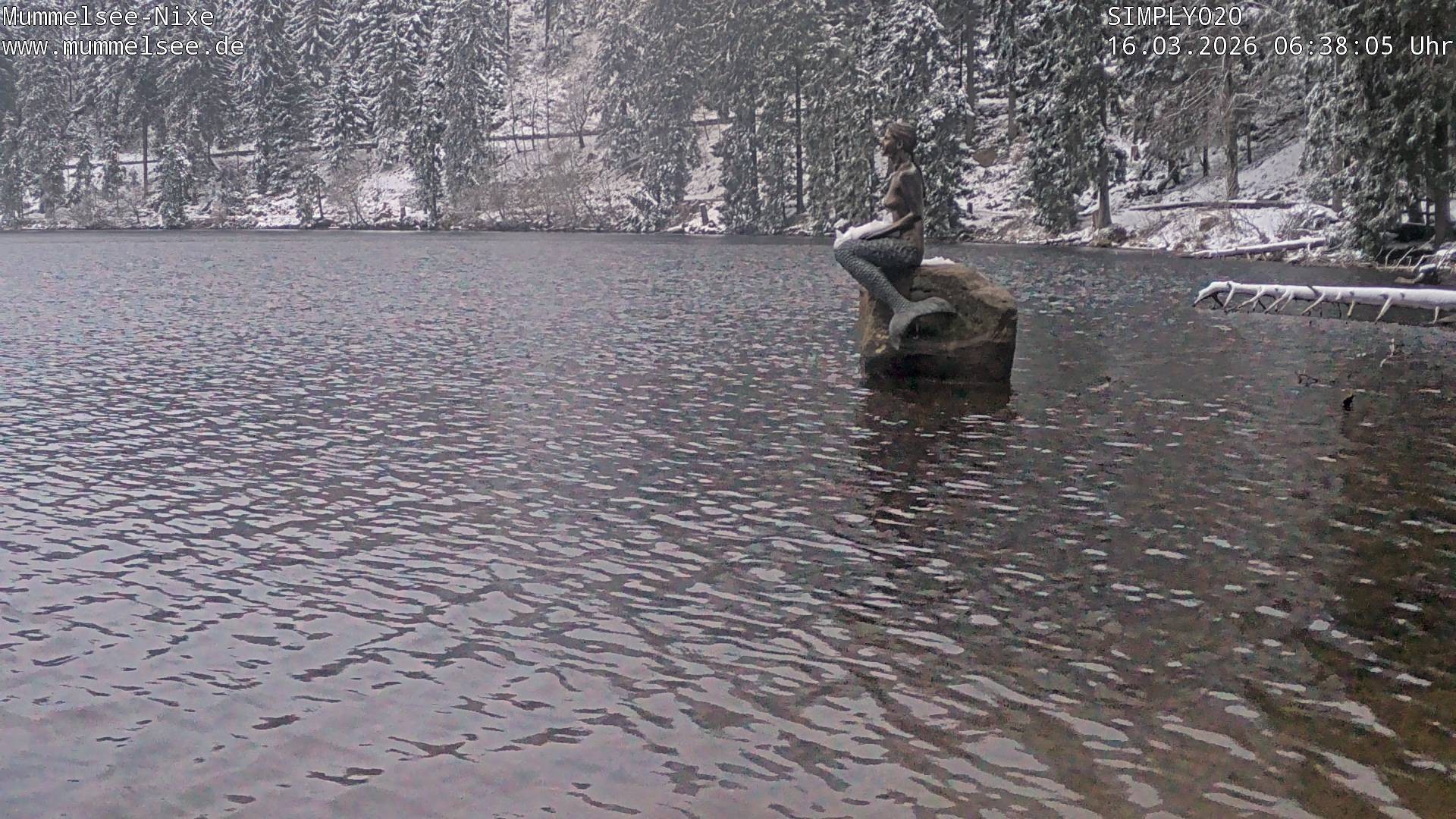Archiv Foto Webcam Ufer Mummelsee