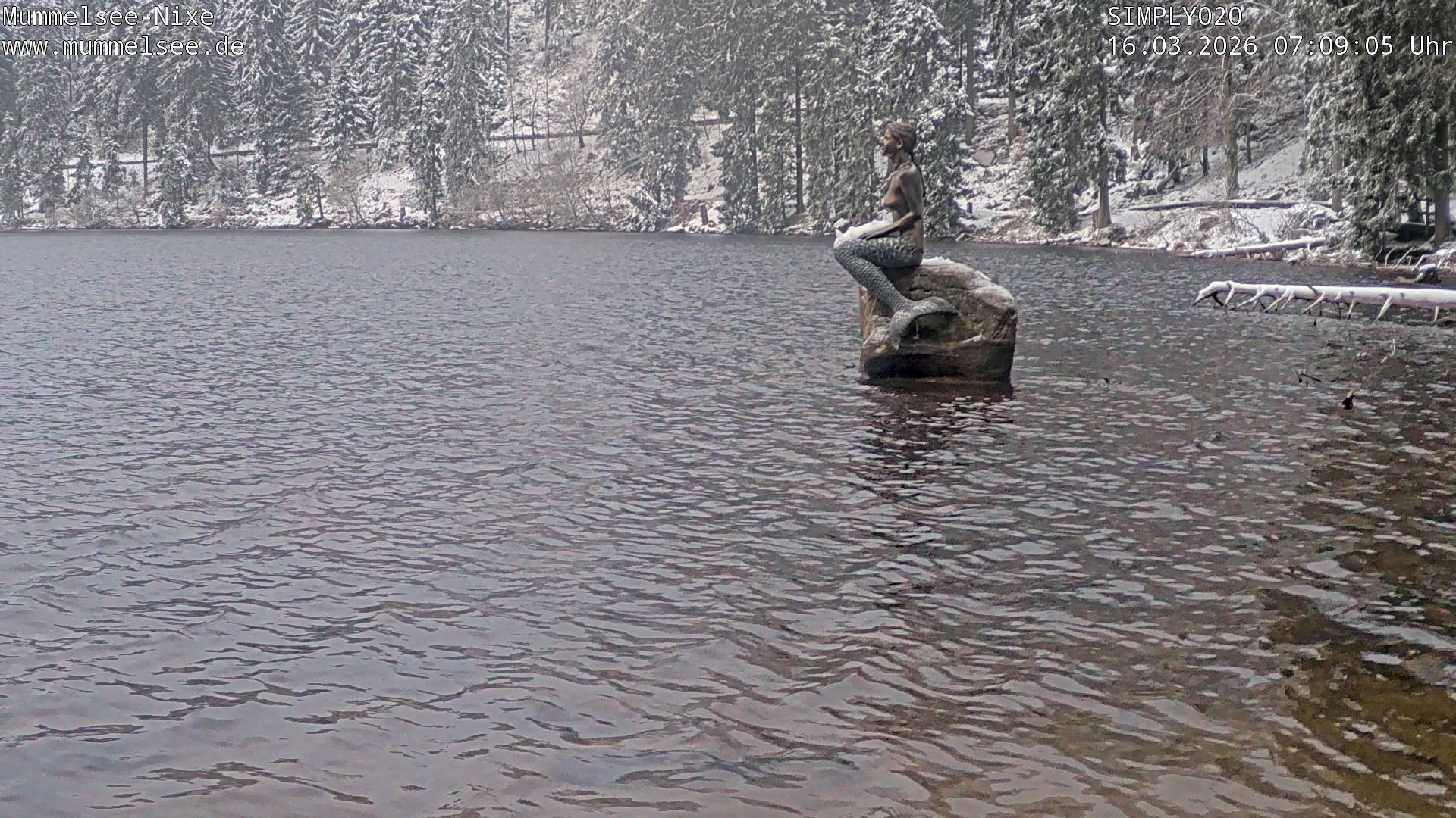 Archiv Foto Webcam Ufer Mummelsee