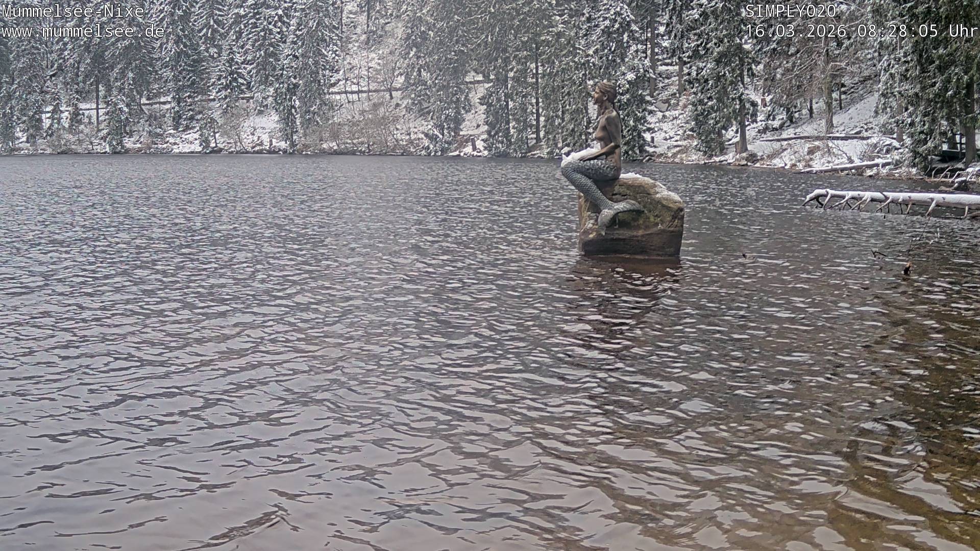 Archiv Foto Webcam Ufer Mummelsee