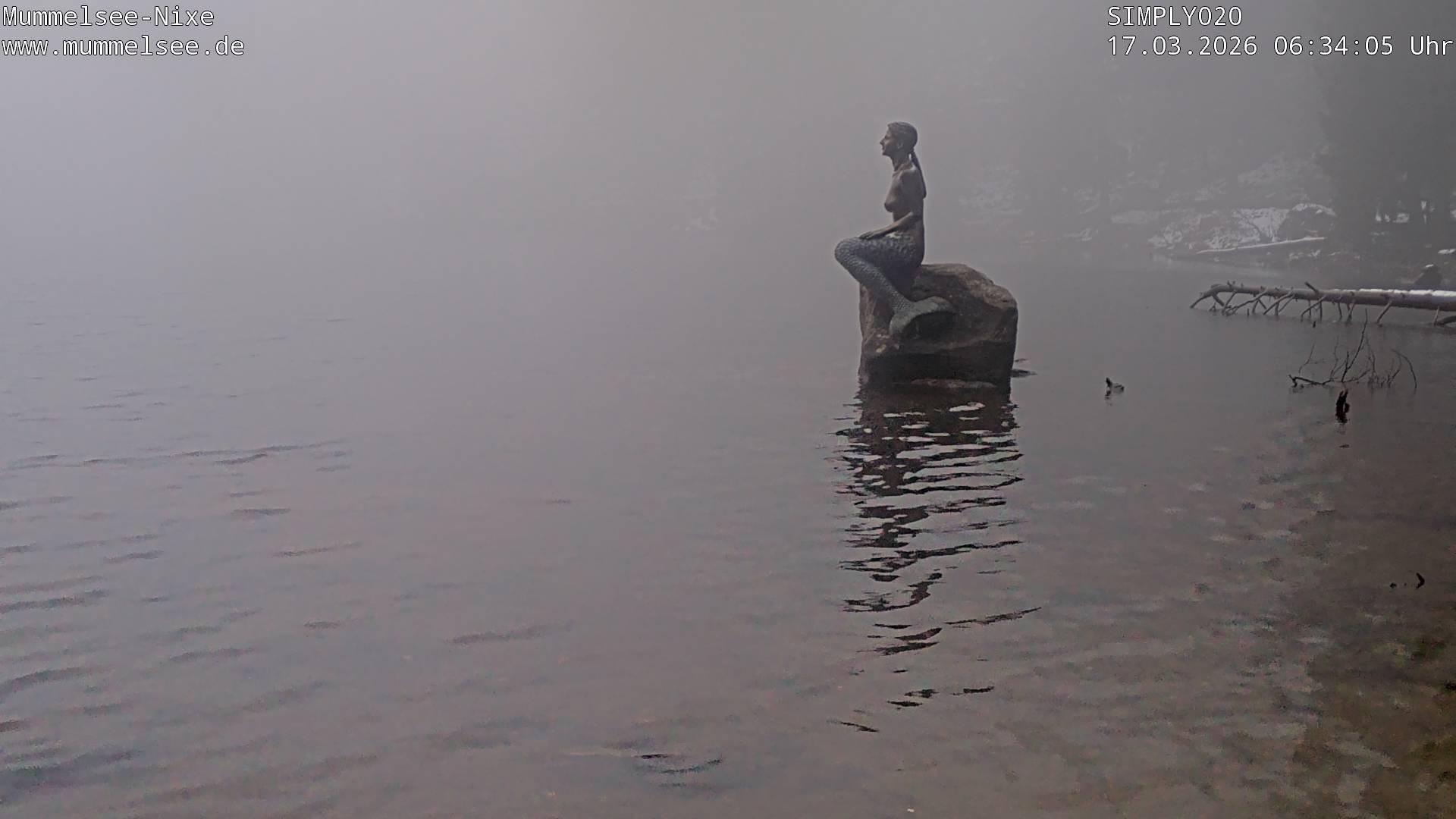 Archiv Foto Webcam Ufer Mummelsee