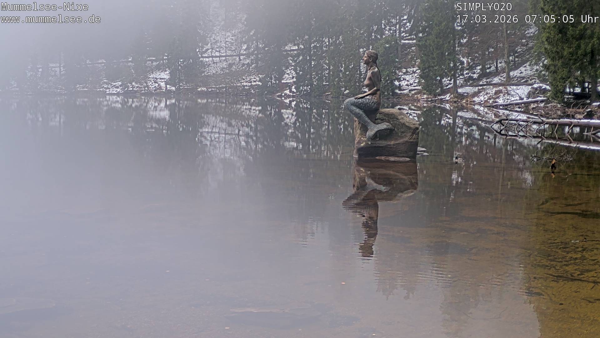 Archiv Foto Webcam Ufer Mummelsee