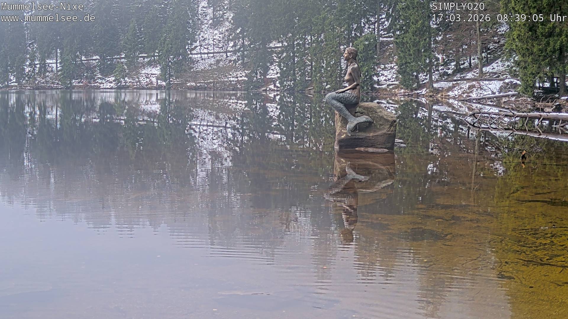 Archiv Foto Webcam Ufer Mummelsee