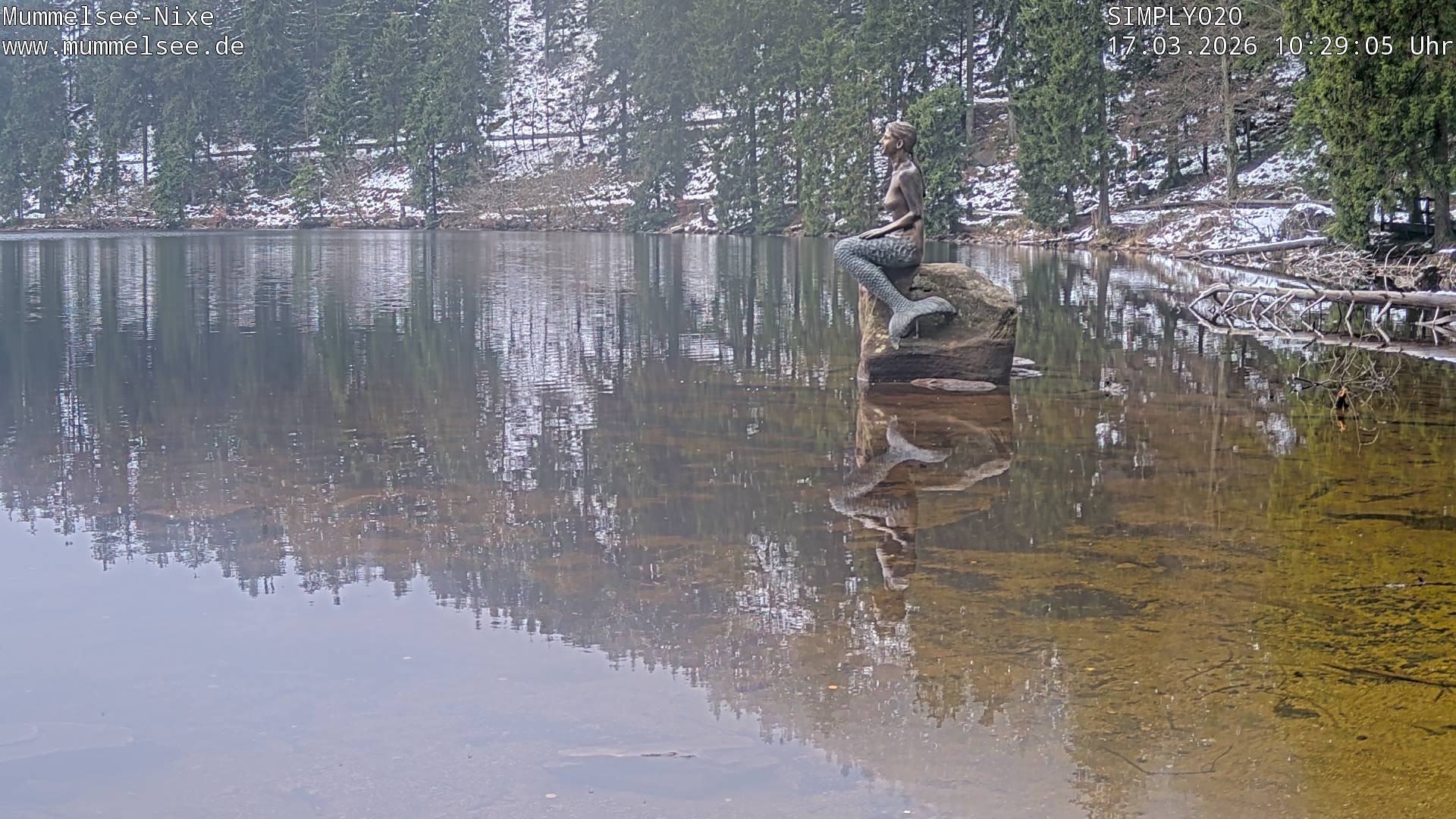 Archiv Foto Webcam Ufer Mummelsee