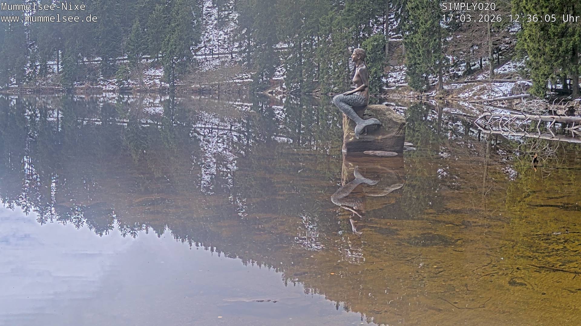 Archiv Foto Webcam Ufer Mummelsee