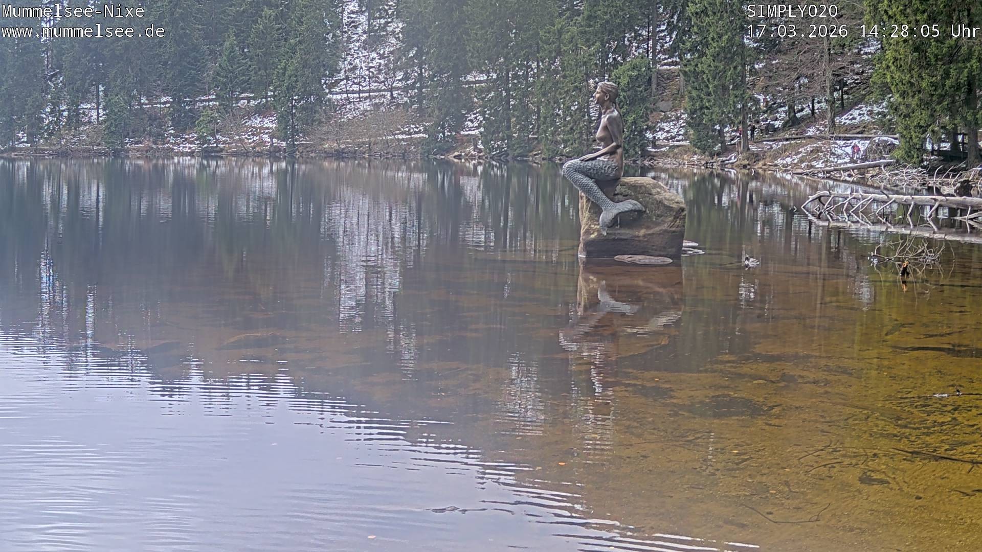 Archiv Foto Webcam Ufer Mummelsee