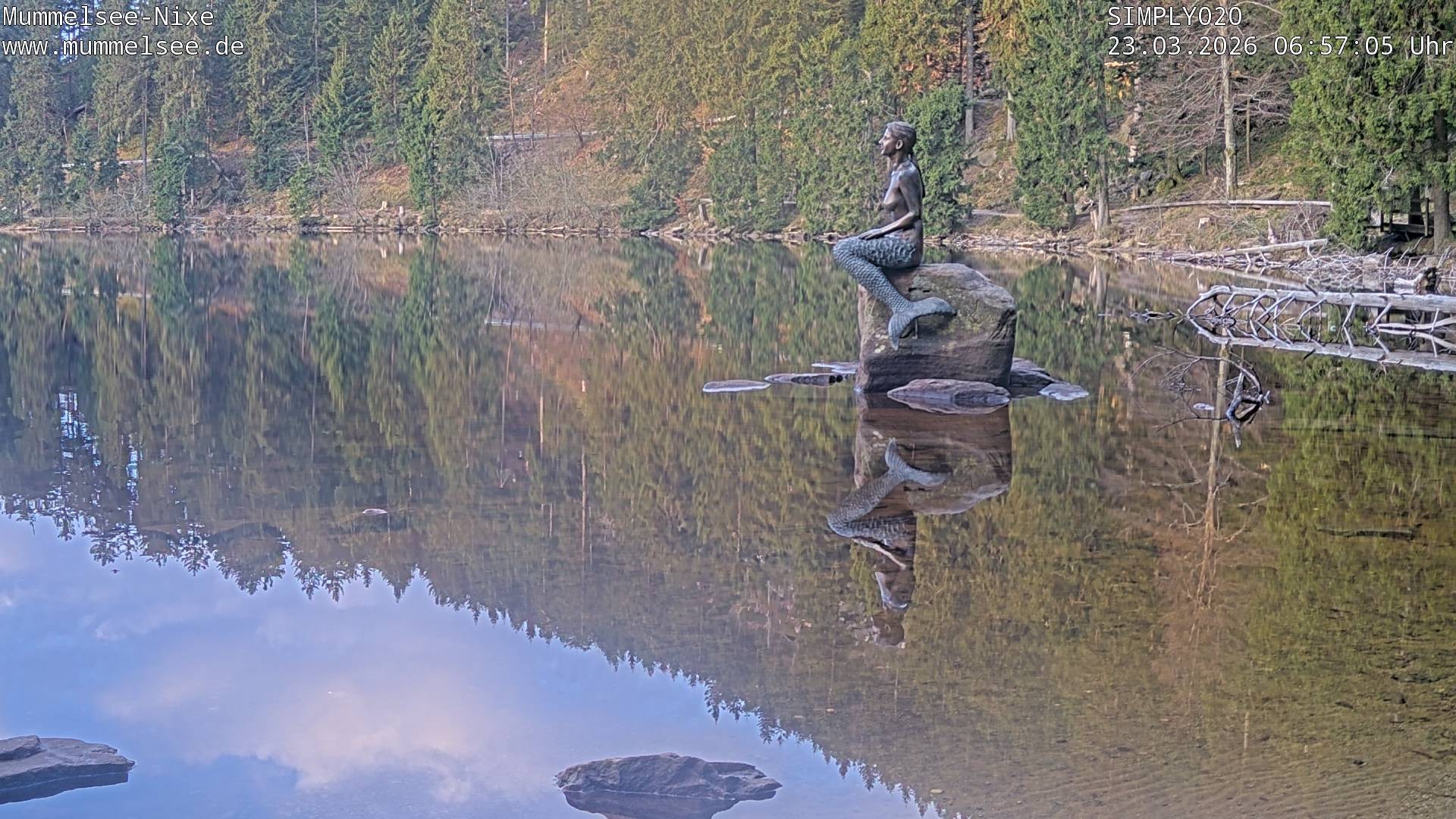 Archiv Foto Webcam Ufer Mummelsee