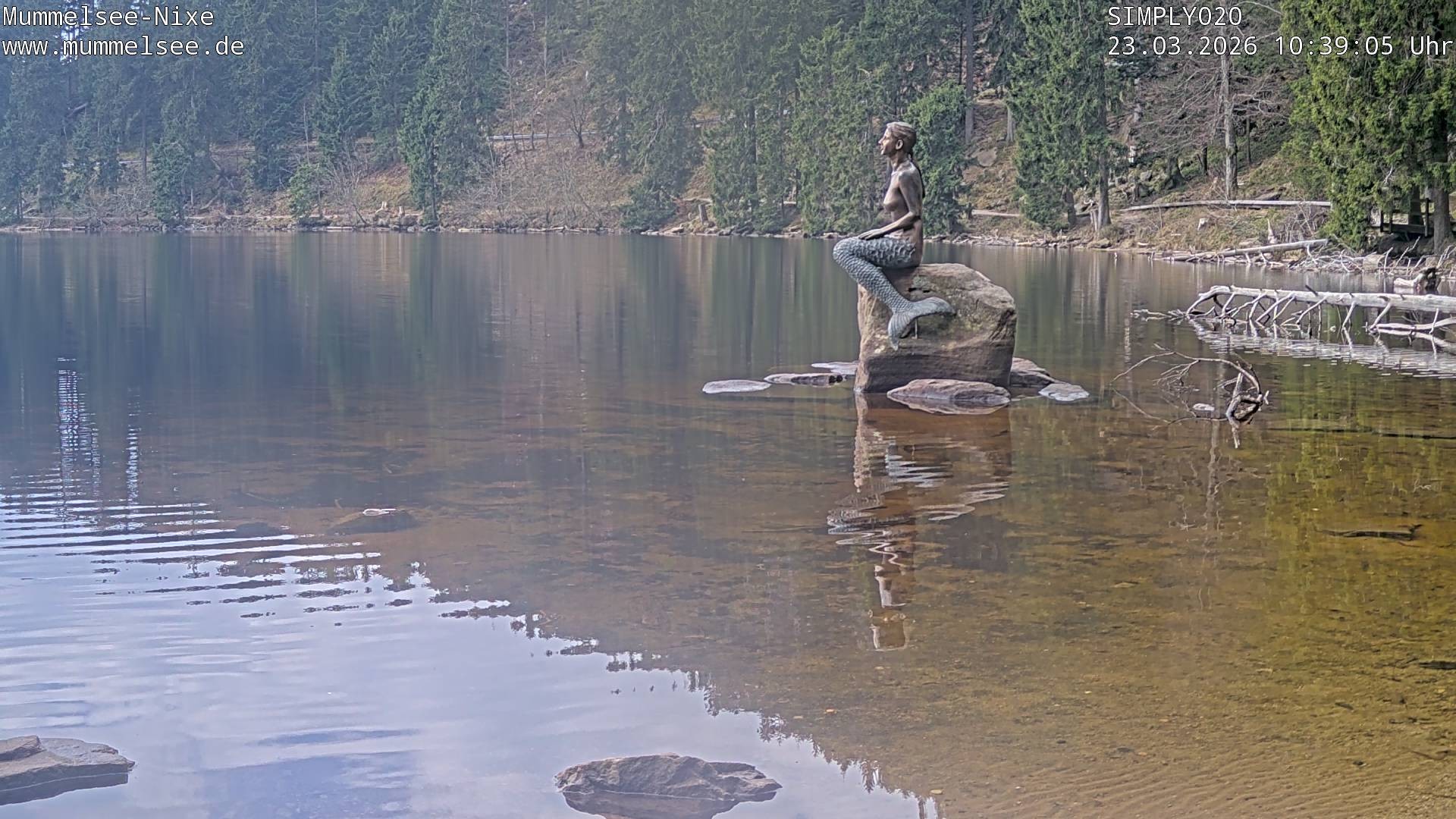 Archiv Foto Webcam Ufer Mummelsee