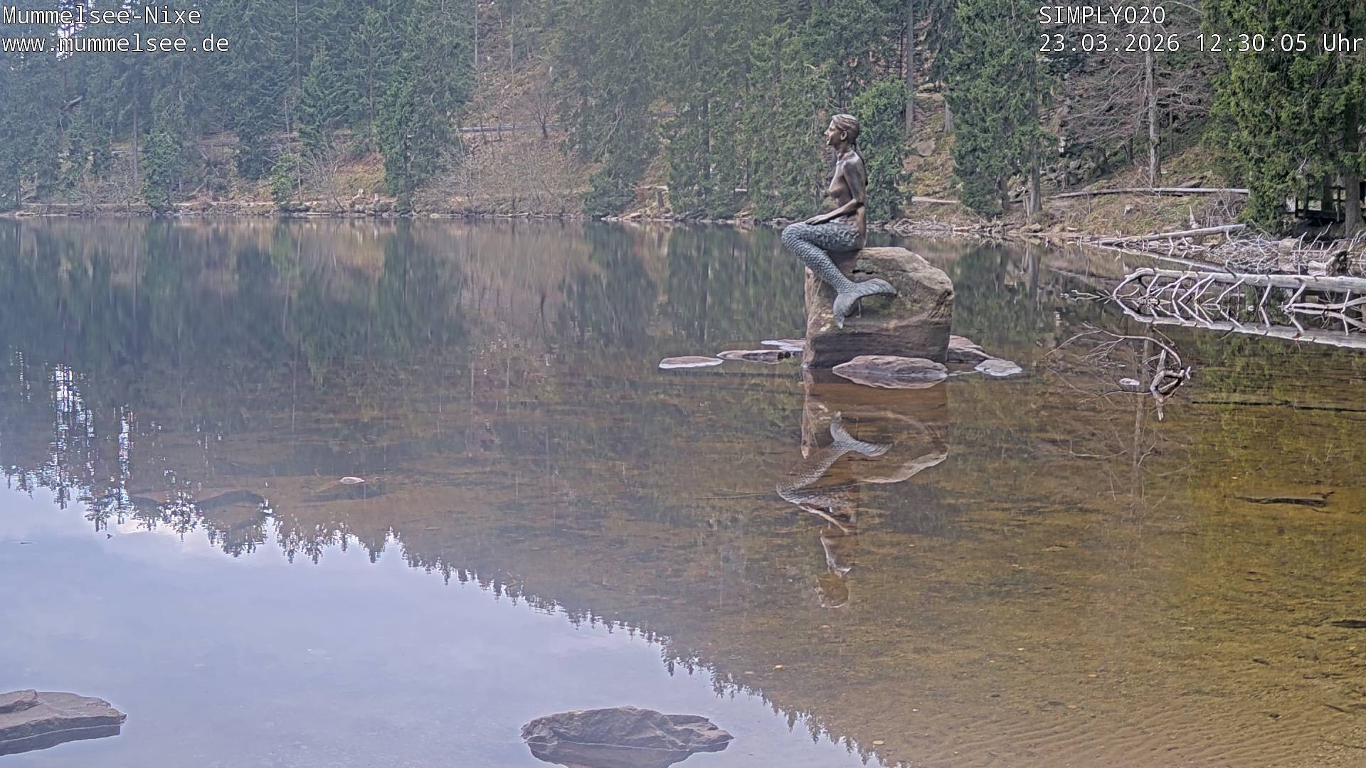 Archiv Foto Webcam Ufer Mummelsee