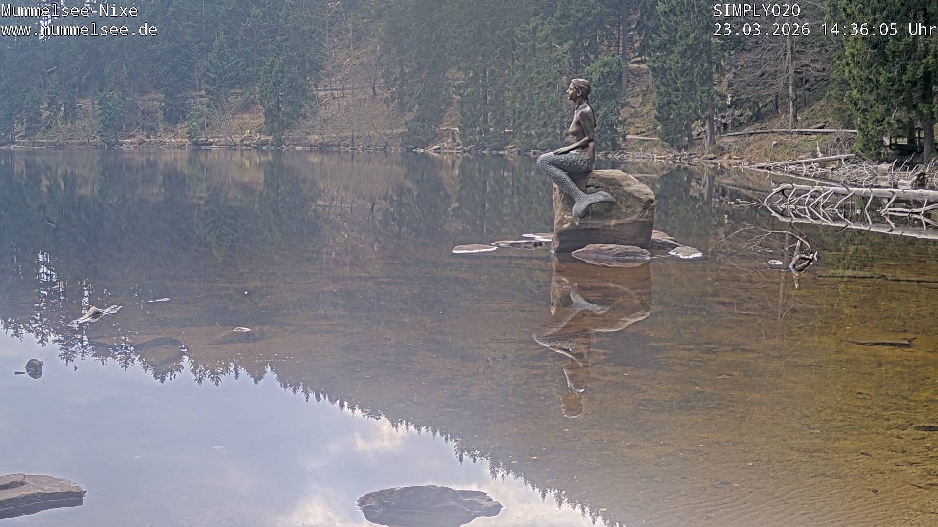 Archiv Foto Webcam Ufer Mummelsee