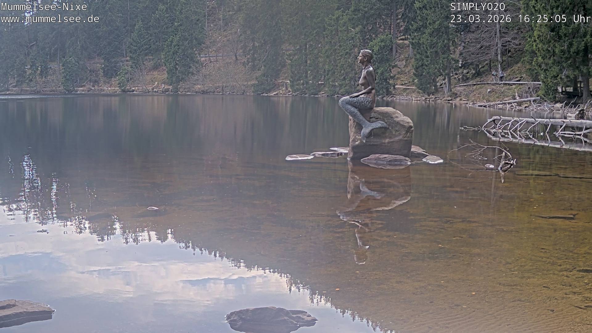 Archiv Foto Webcam Ufer Mummelsee