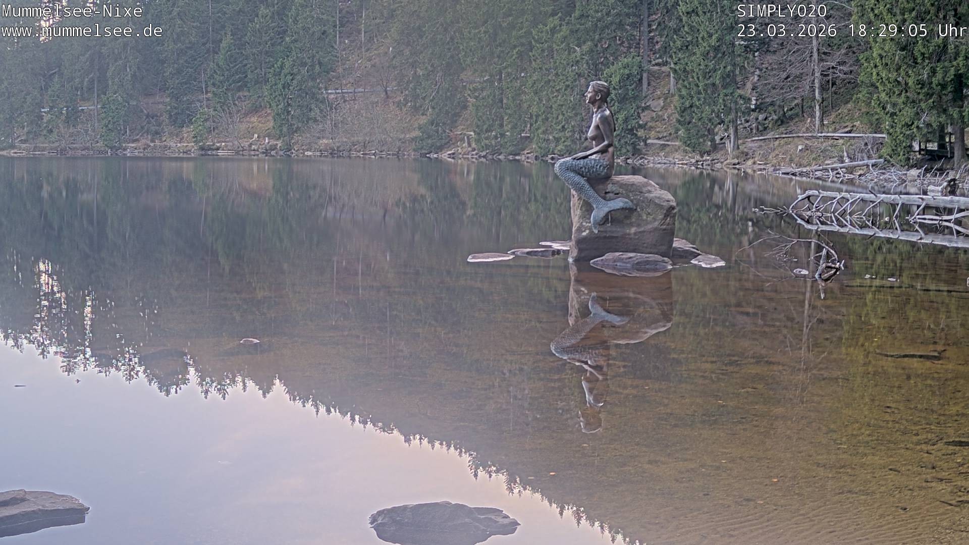 Archiv Foto Webcam Ufer Mummelsee