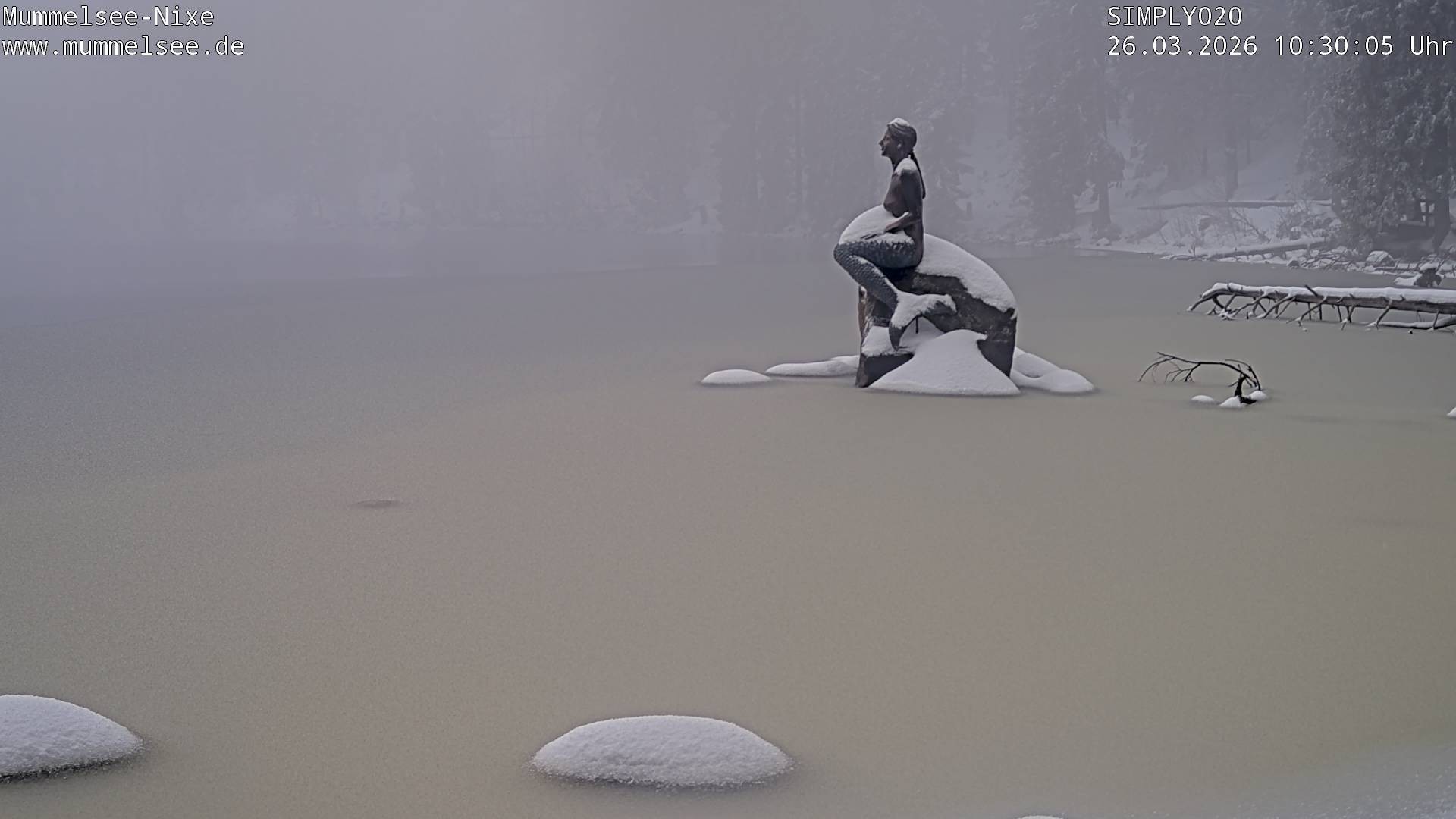 Archiv Foto Webcam Ufer Mummelsee
