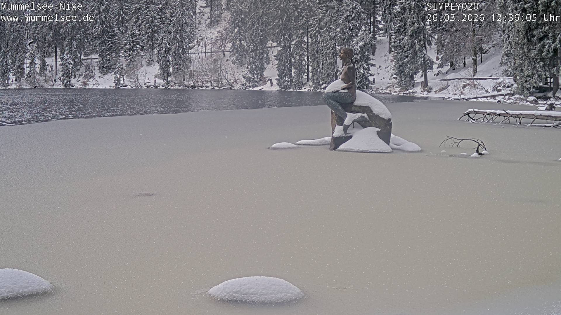 Archiv Foto Webcam Ufer Mummelsee